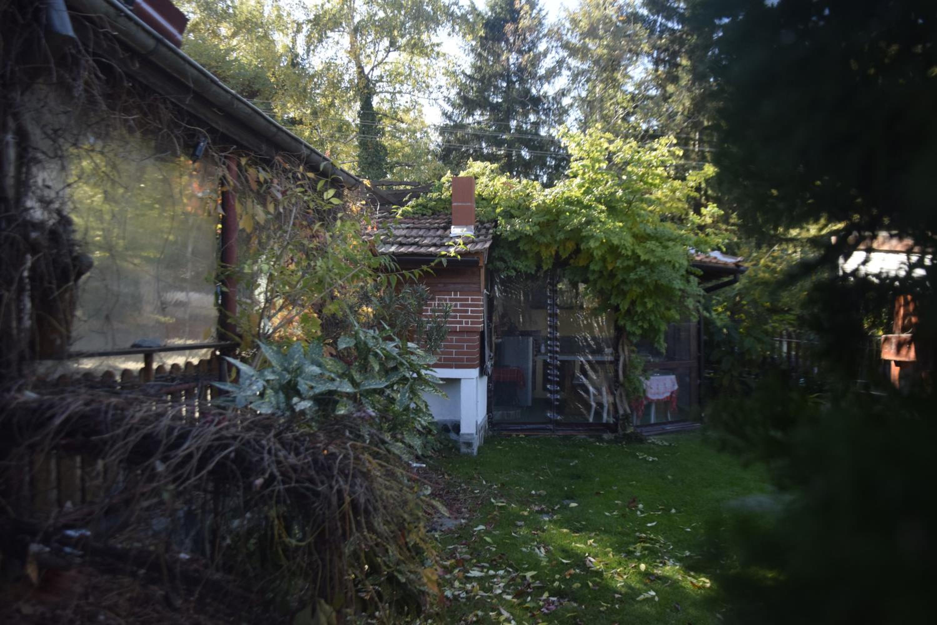 Guest House Zdravets