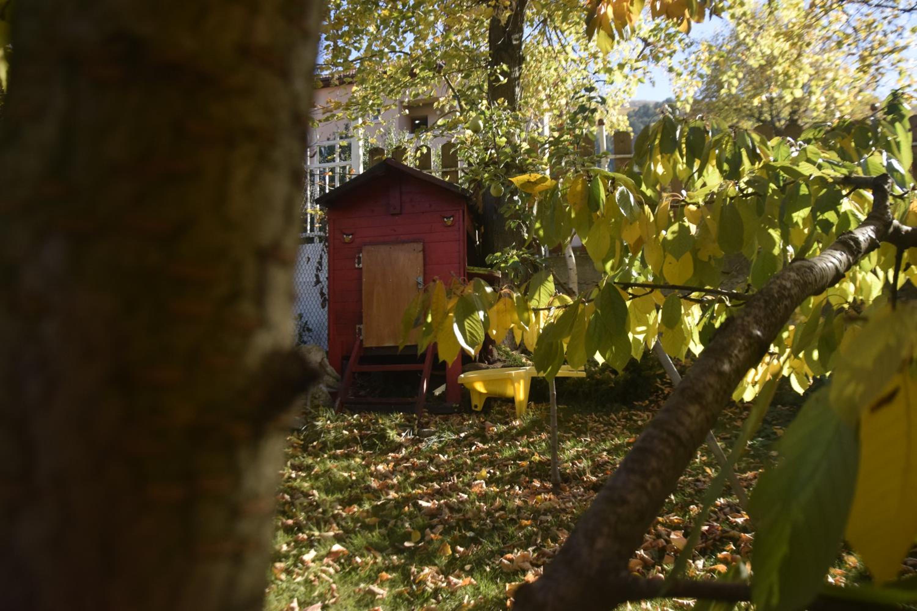 Guest House Zdravets