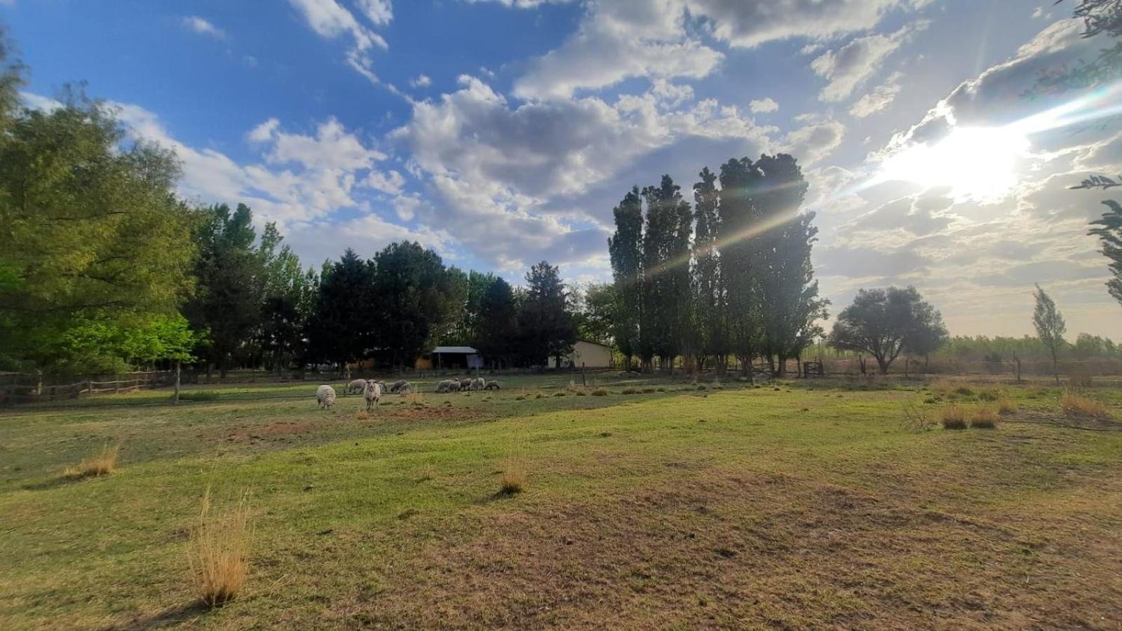 Finca La Calma