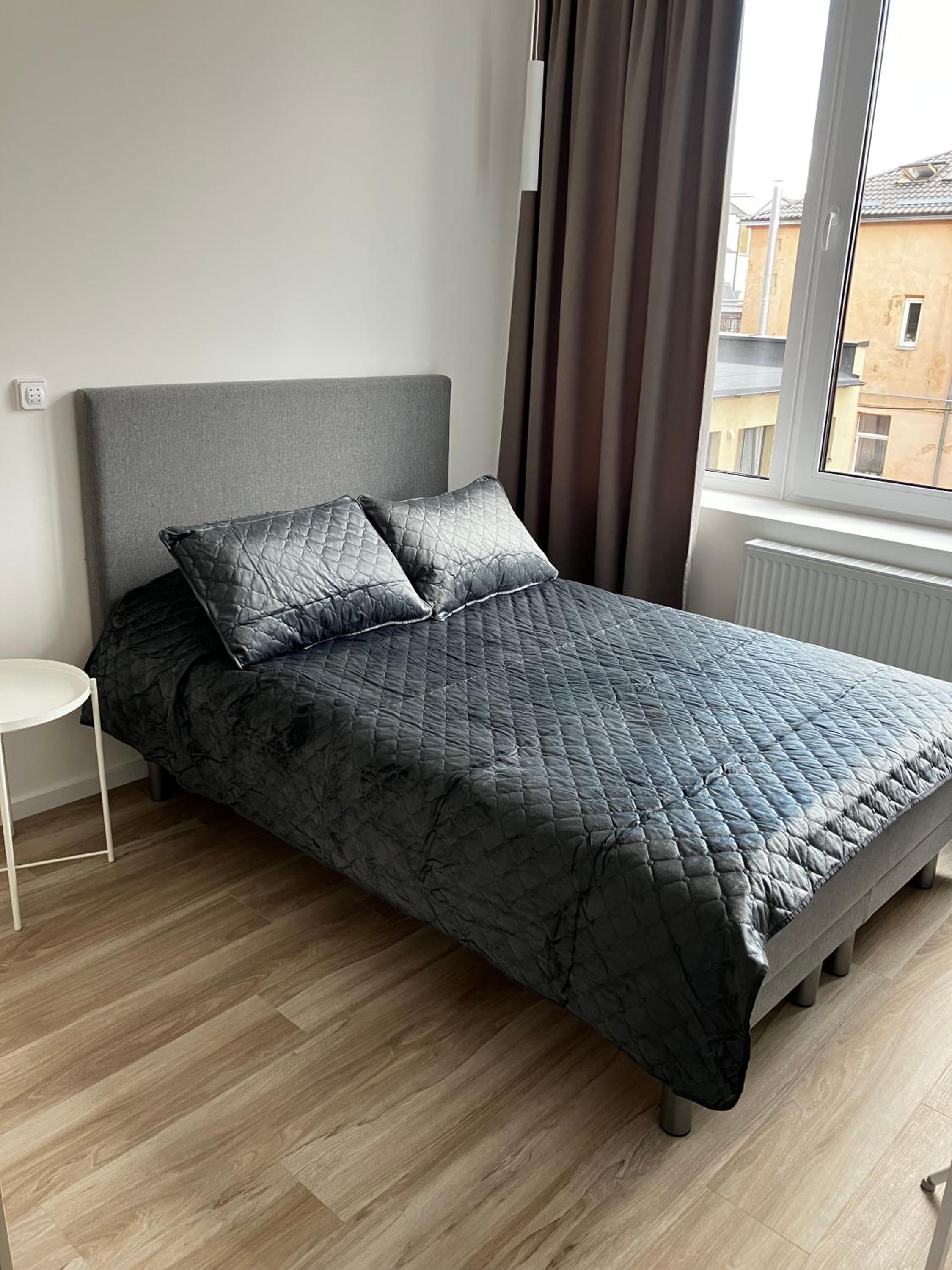 Ingos Laisves al. apartamentai view 3
