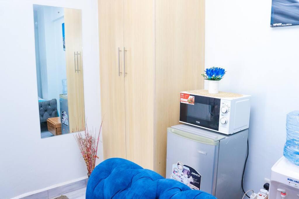 LaMeg Furnished Studio in Fedha view 2