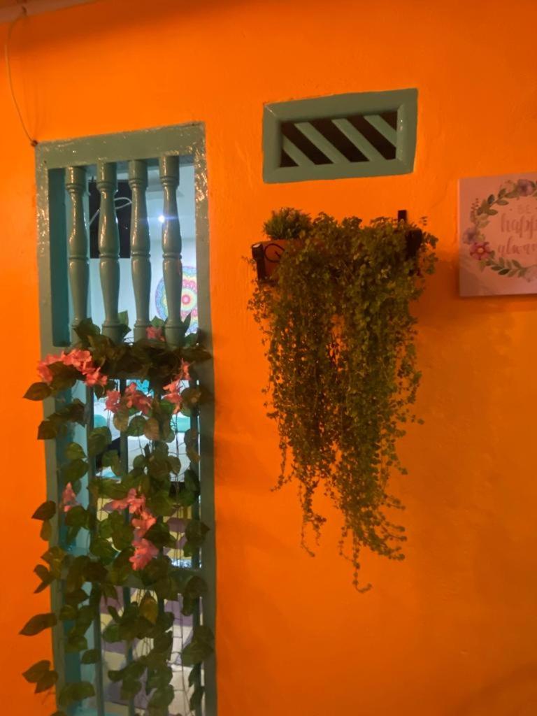 Casa Renacer