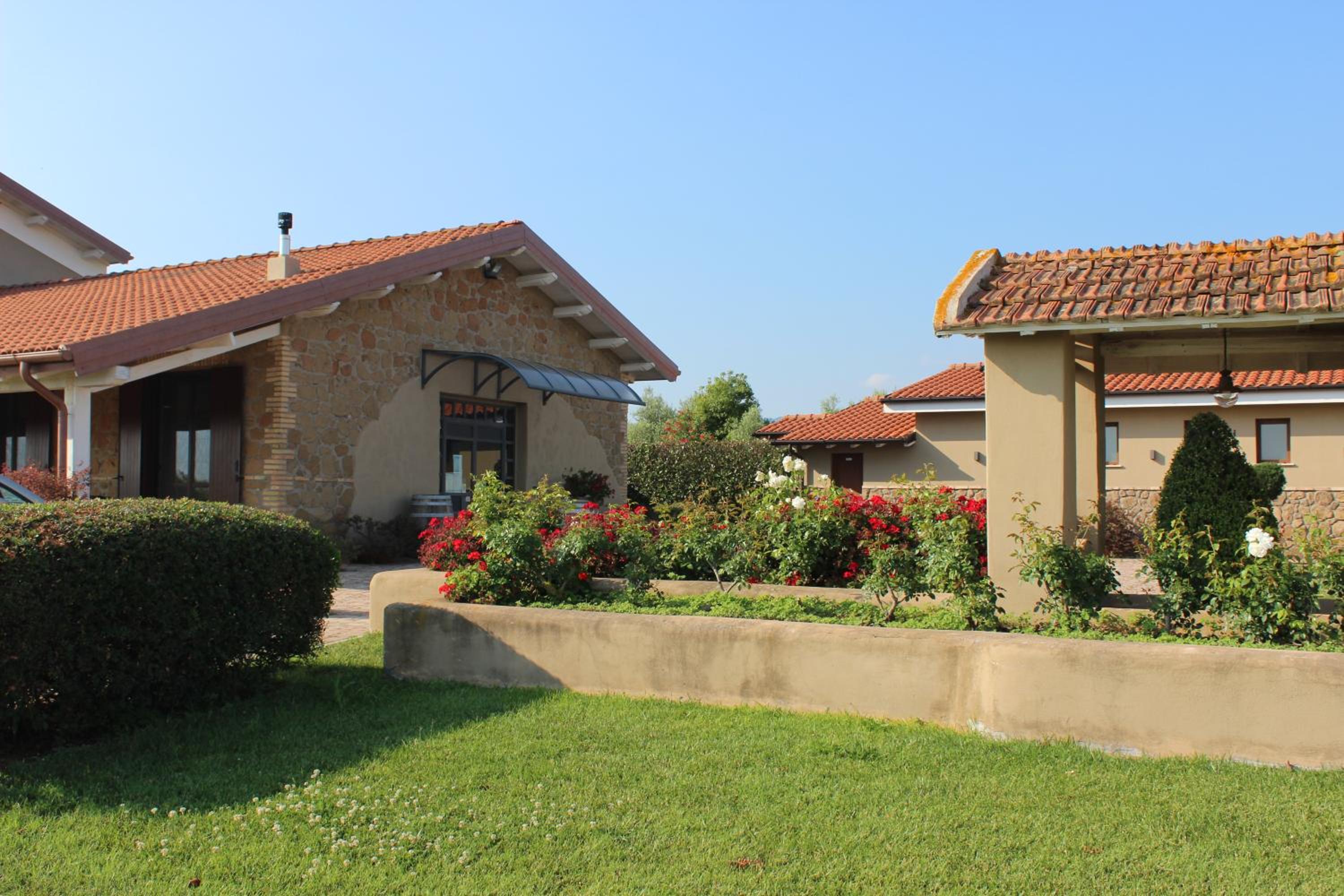 Il Casale degli Ulivi - Agriturismo - TENIMENTI LEONE