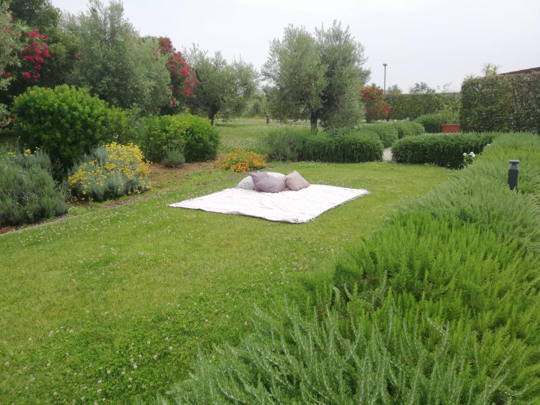 Il Casale degli Ulivi - Agriturismo - TENIMENTI LEONE
