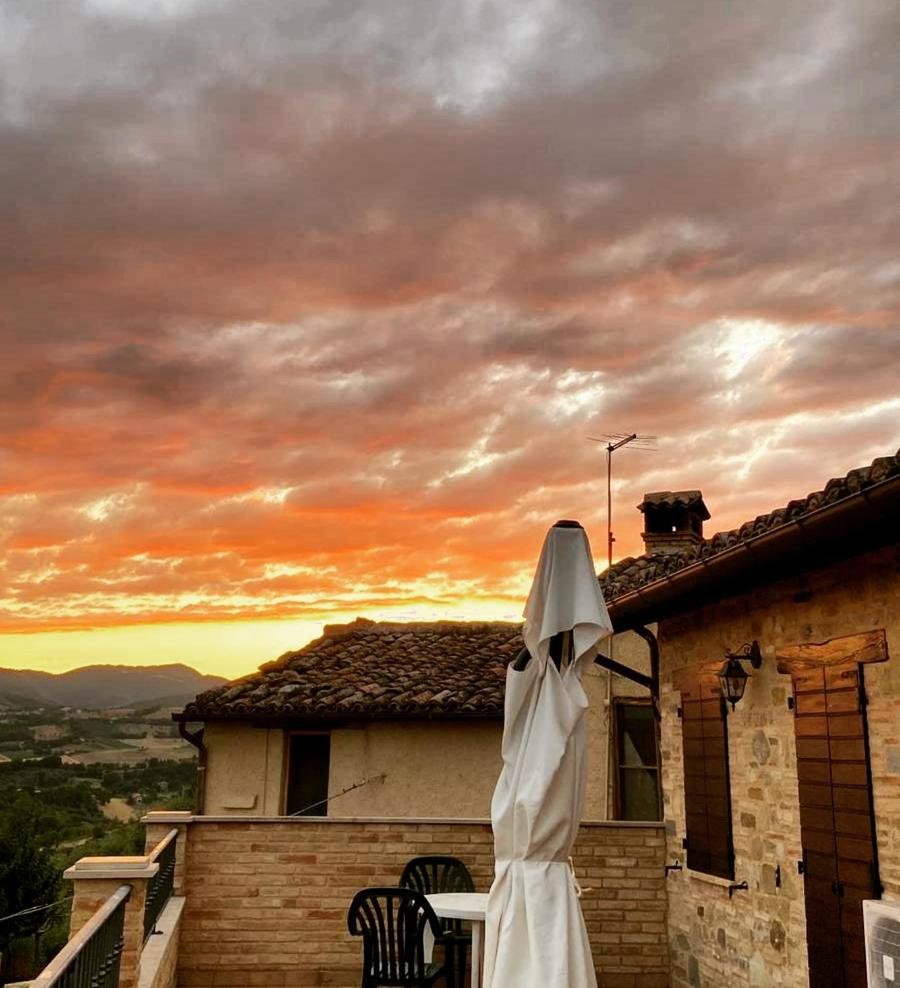 Agriturismo L'Antico Oliveto view 3