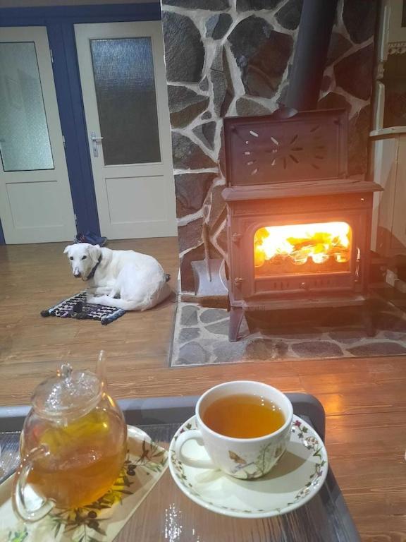 Contryside holiday house, for even better energy sourcing view 4
