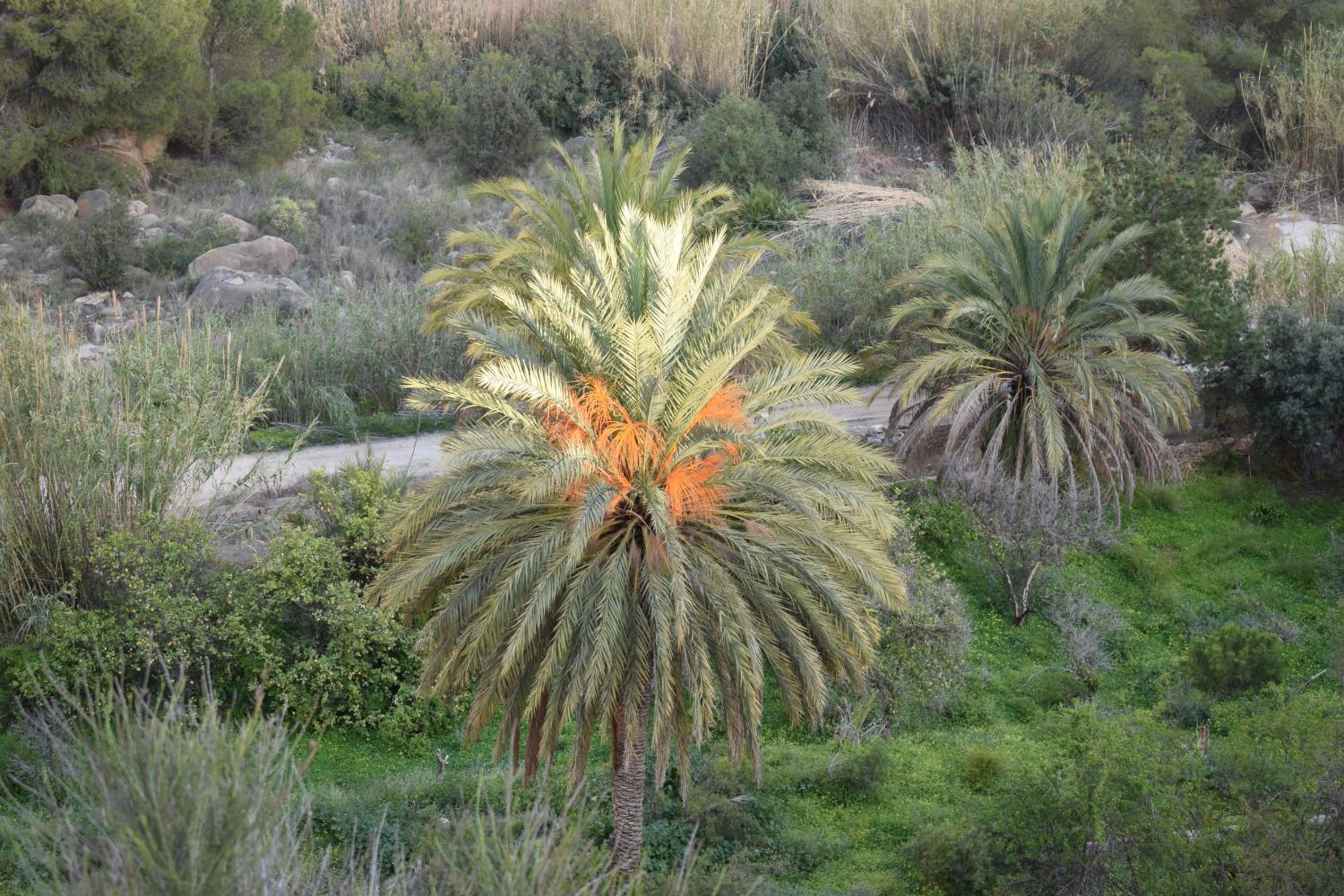 Photo 25