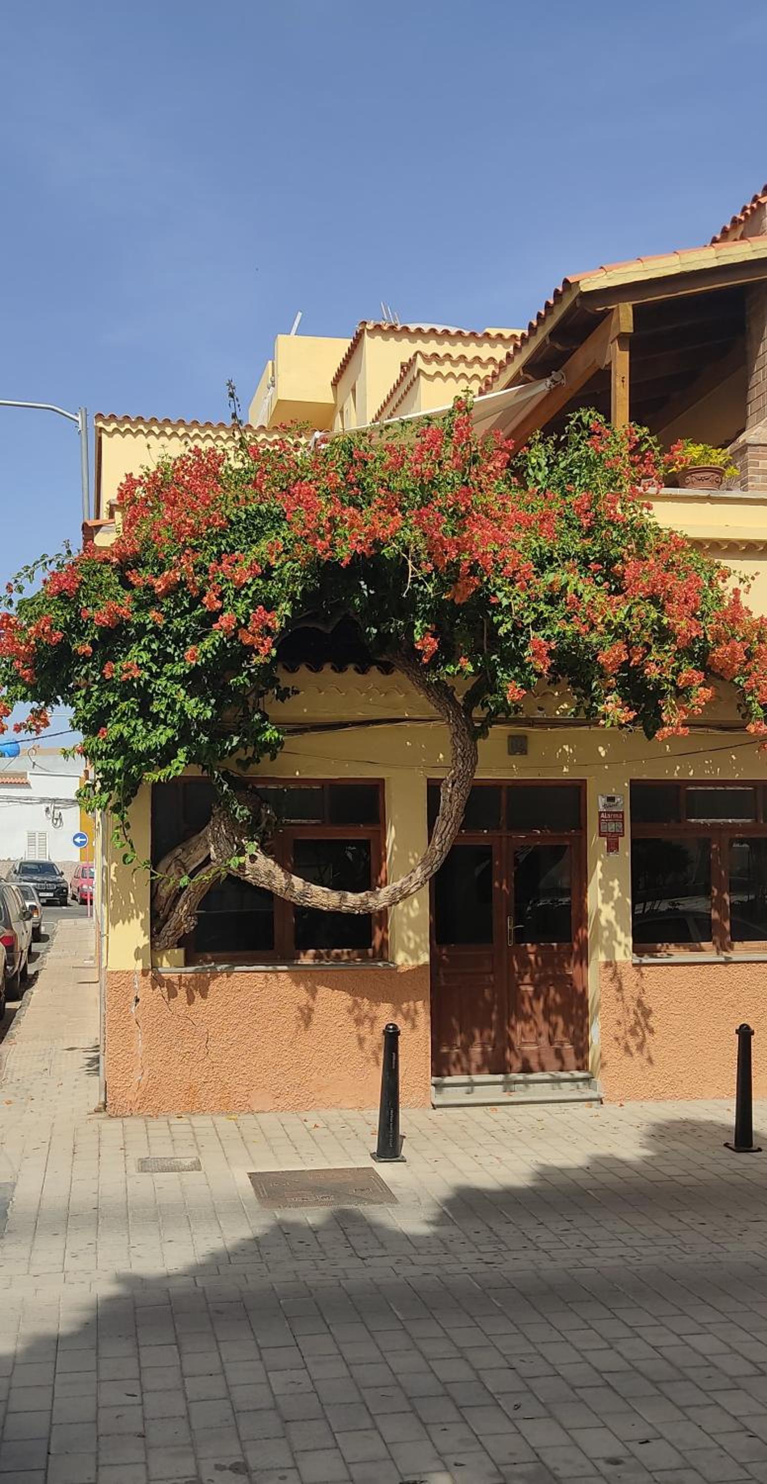 Casa TINGUARO