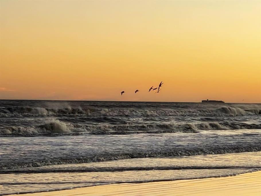 Reduced rate! The Wave of it All Tiki Bar Walk to the beach view 4