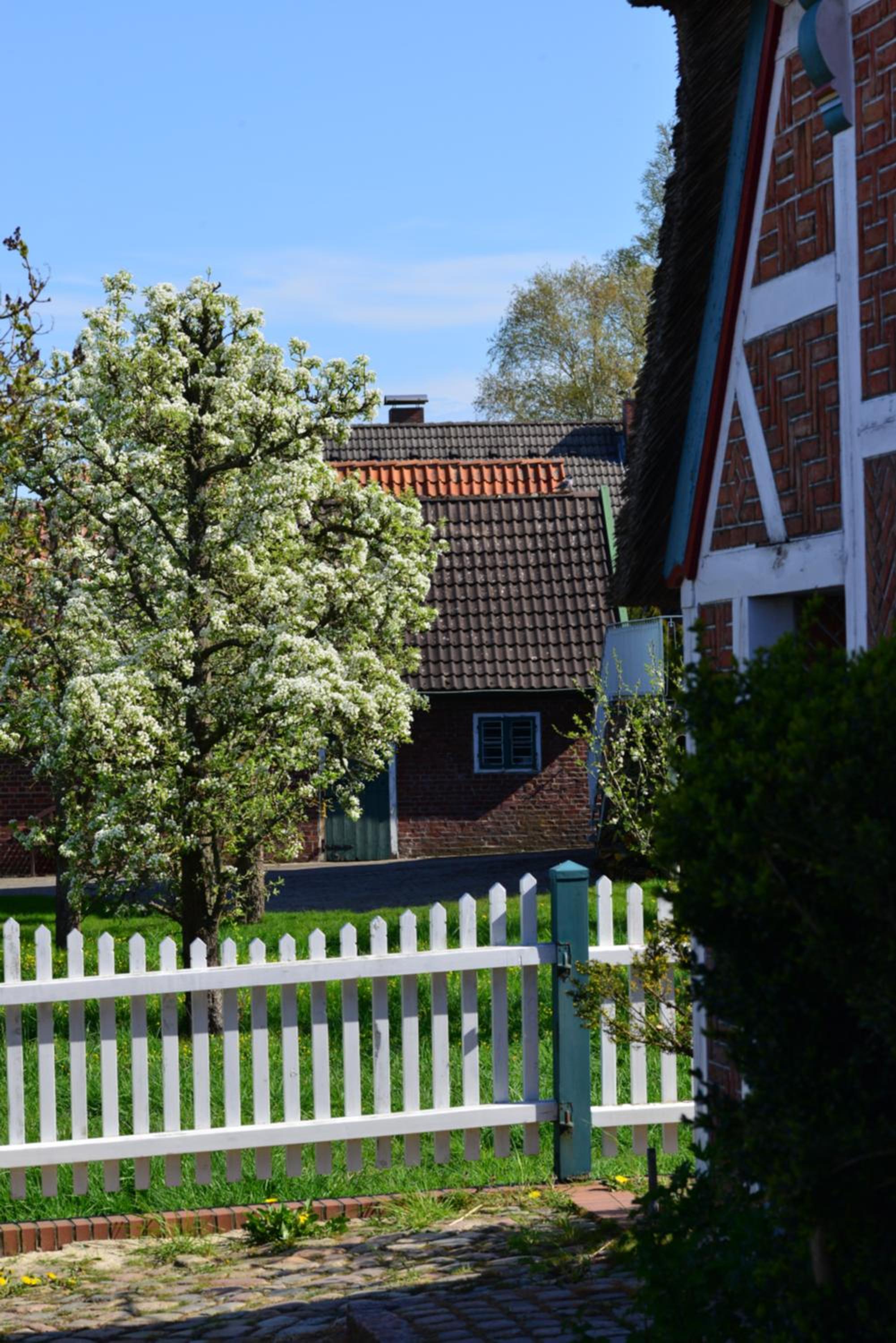 Ferienhof tom Diek view 5