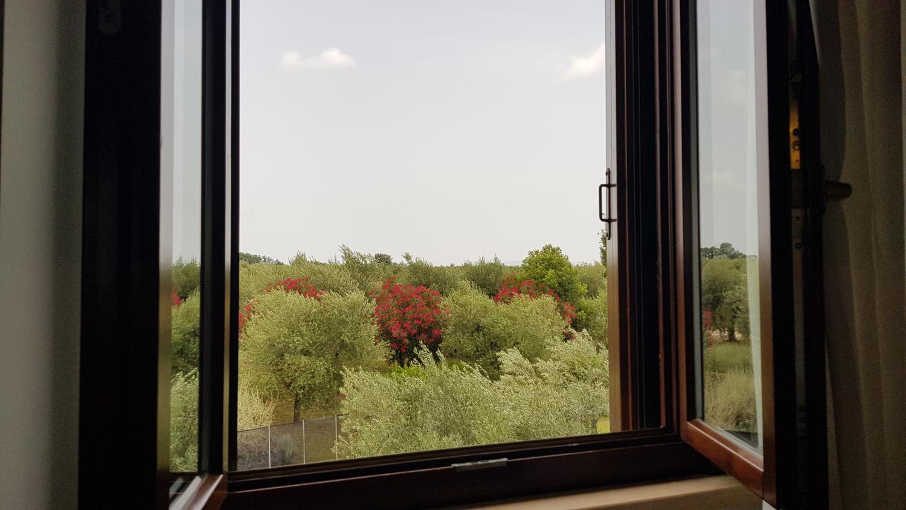Il Casale degli Ulivi - Agriturismo - TENIMENTI LEONE