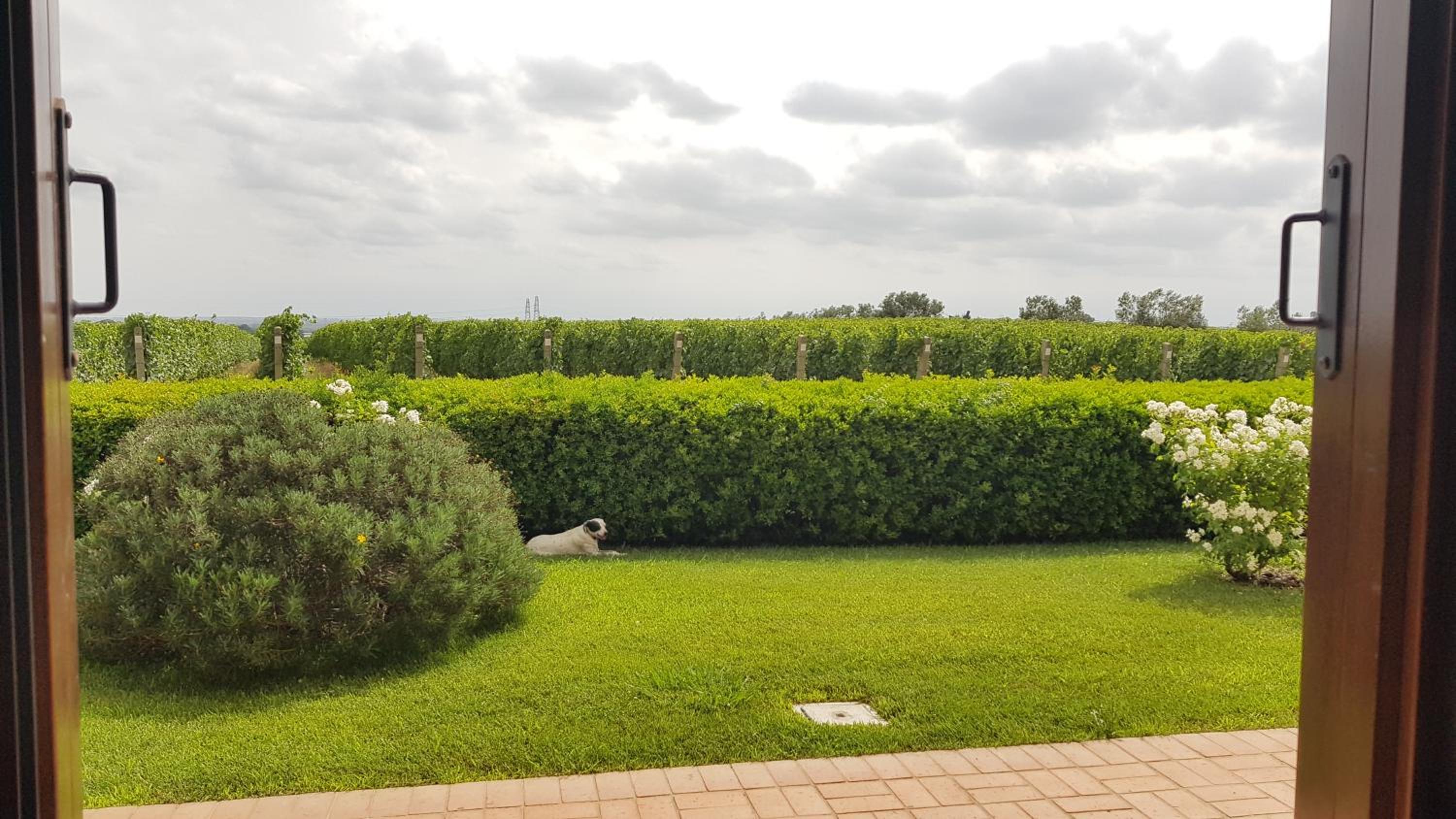 Il Casale degli Ulivi - Agriturismo - TENIMENTI LEONE