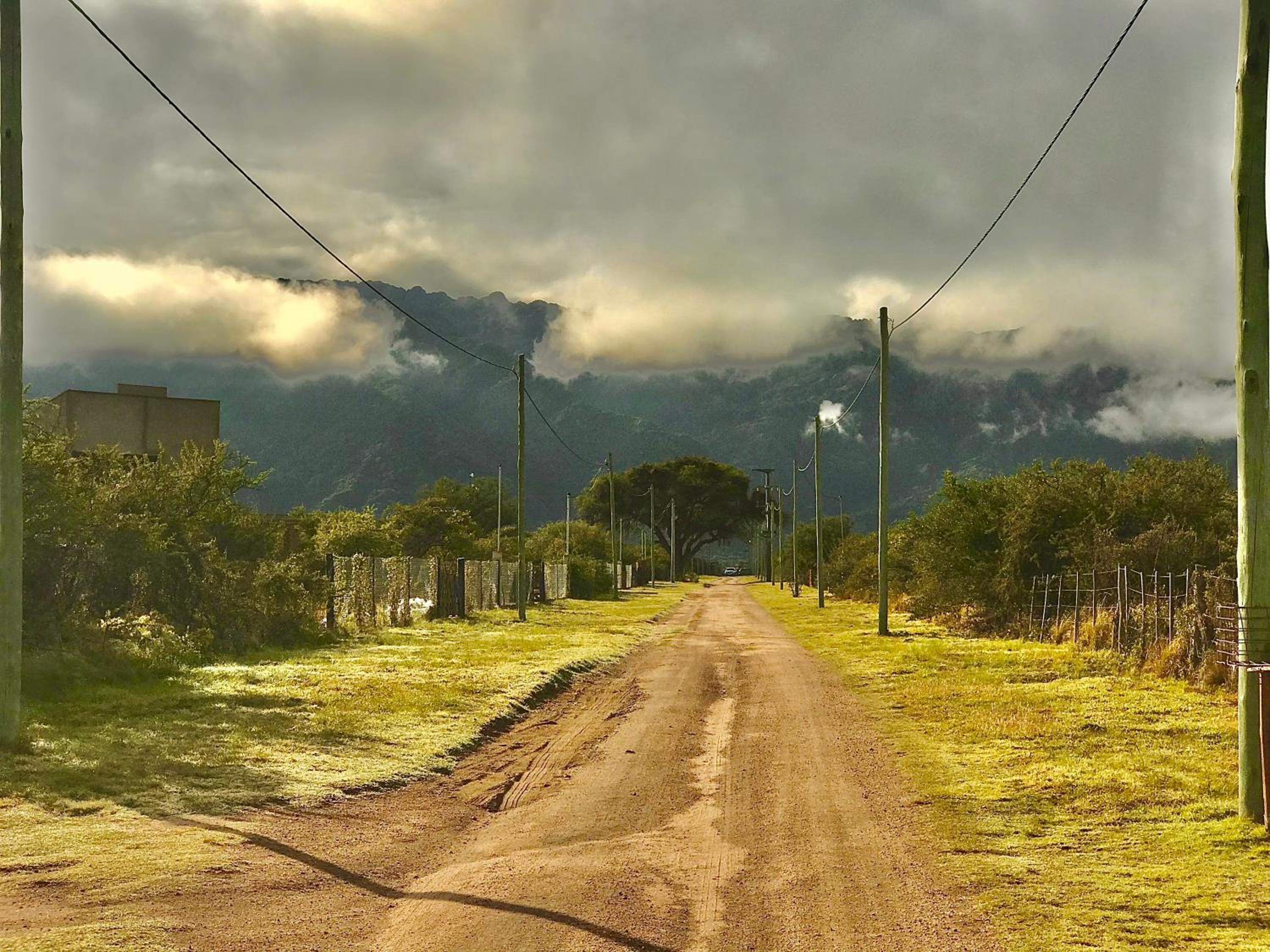 Tierra de Zorros
