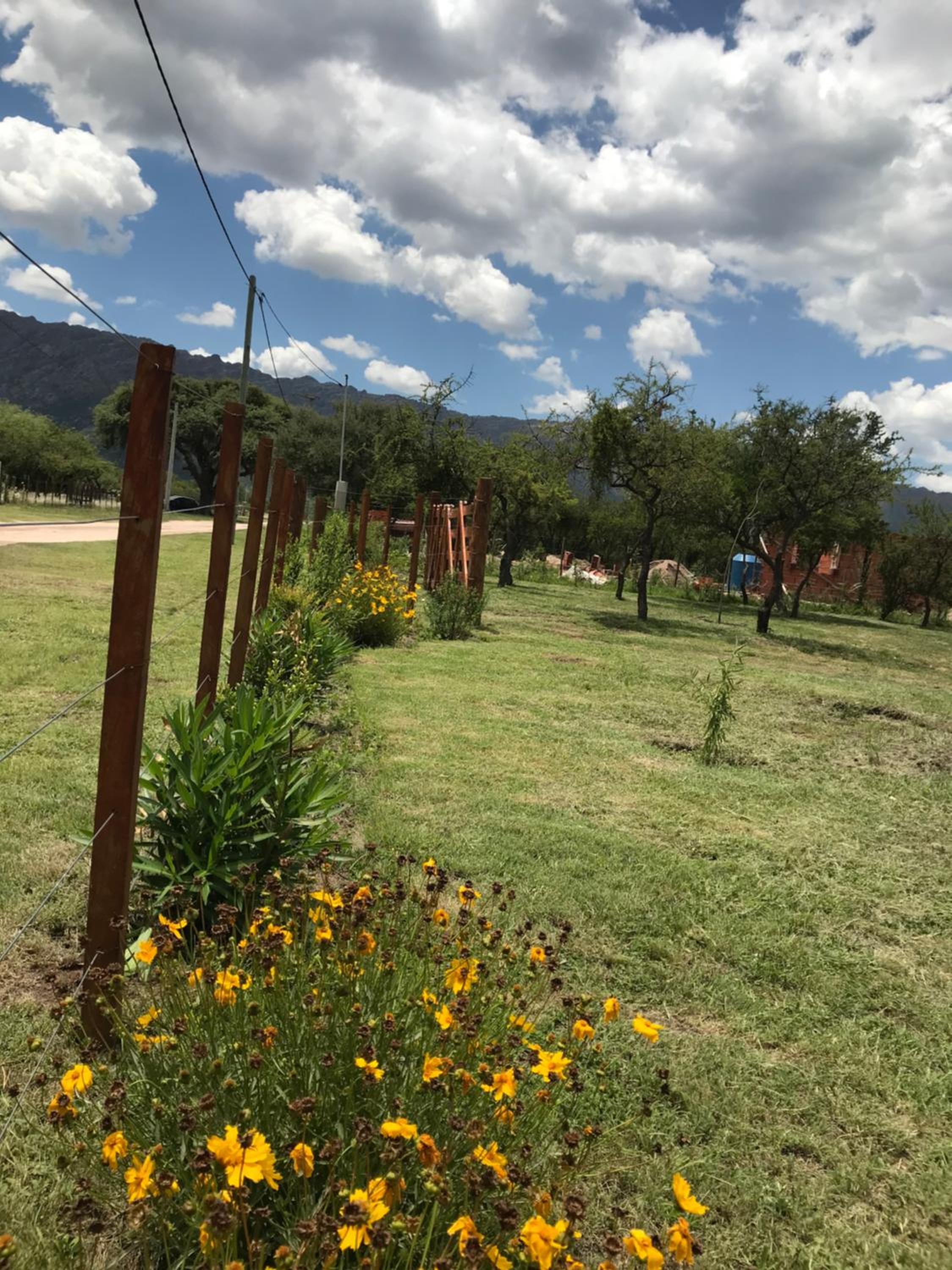 Tierra de Zorros