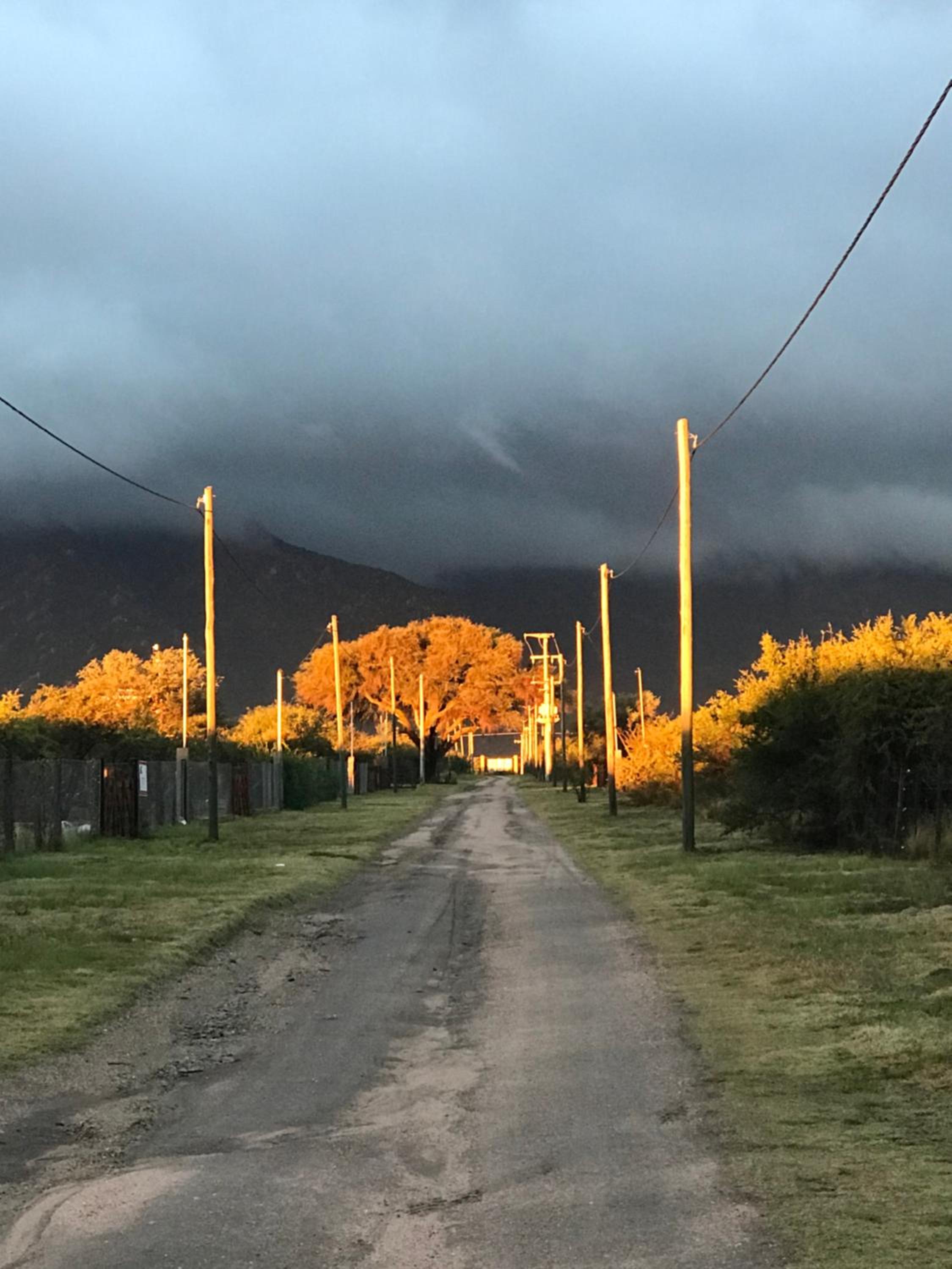 Tierra de Zorros
