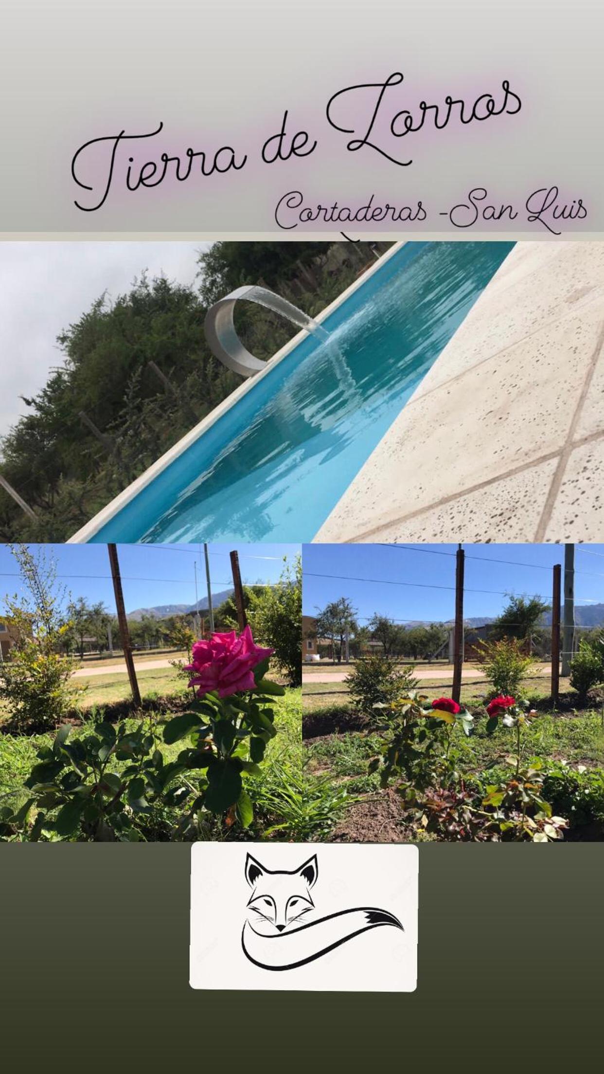 Tierra de Zorros
