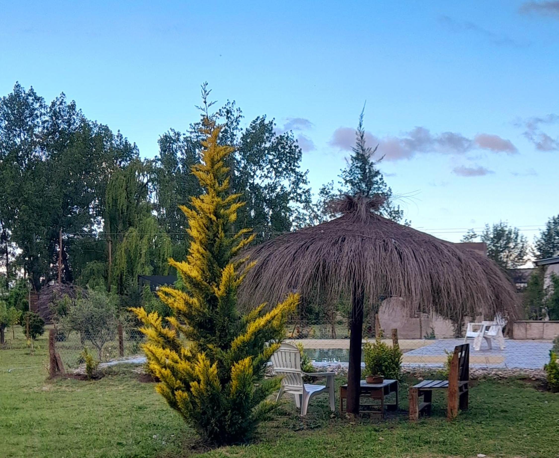 Finca el Colibrí
