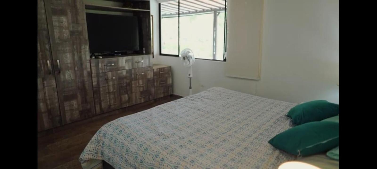 ENTREPALMAS view 4