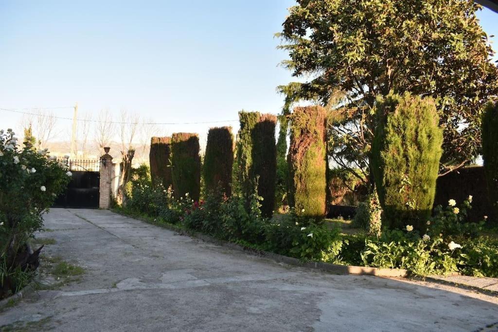VIVIENDA RURAL HUERTA DEl MEDIO