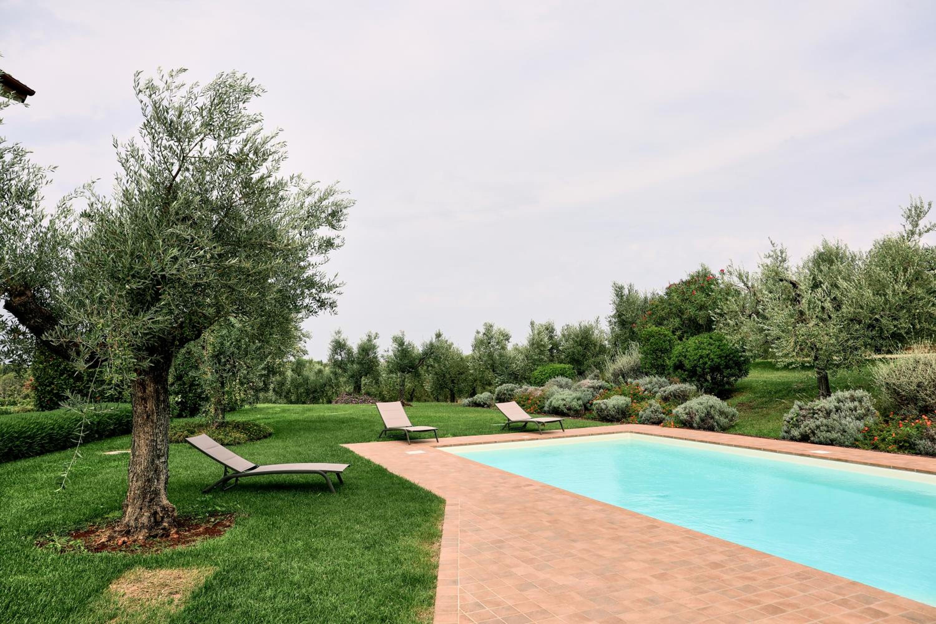 Il Casale degli Ulivi - Agriturismo - TENIMENTI LEONE