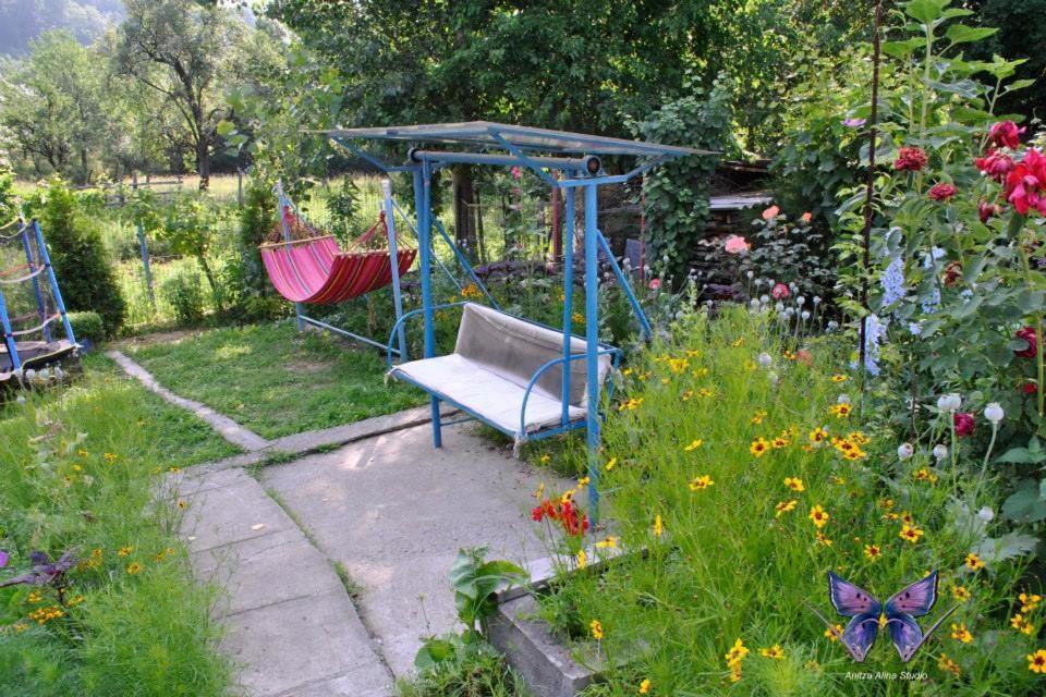 Photo 36