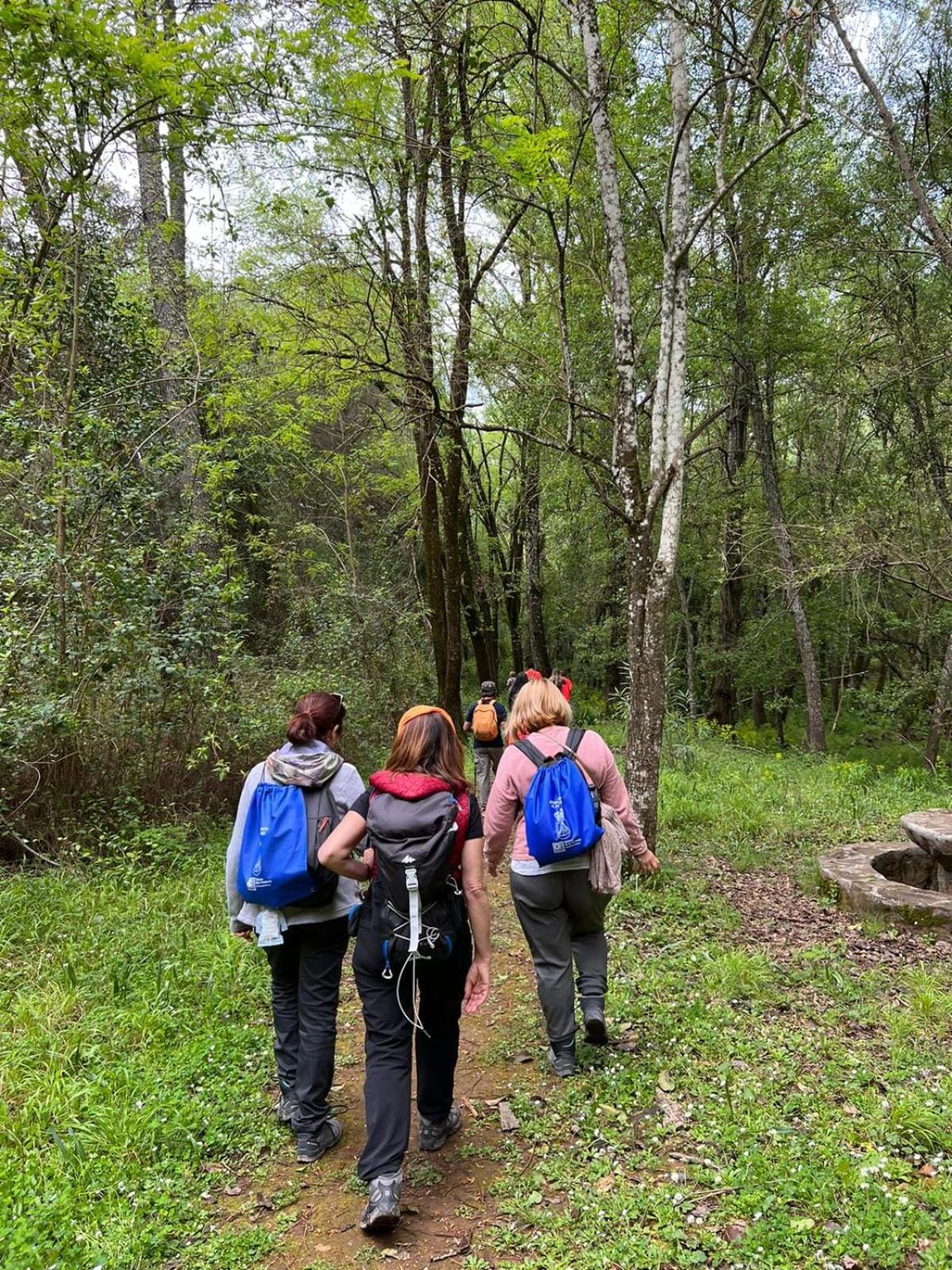 Casa Lope de Vega view 3