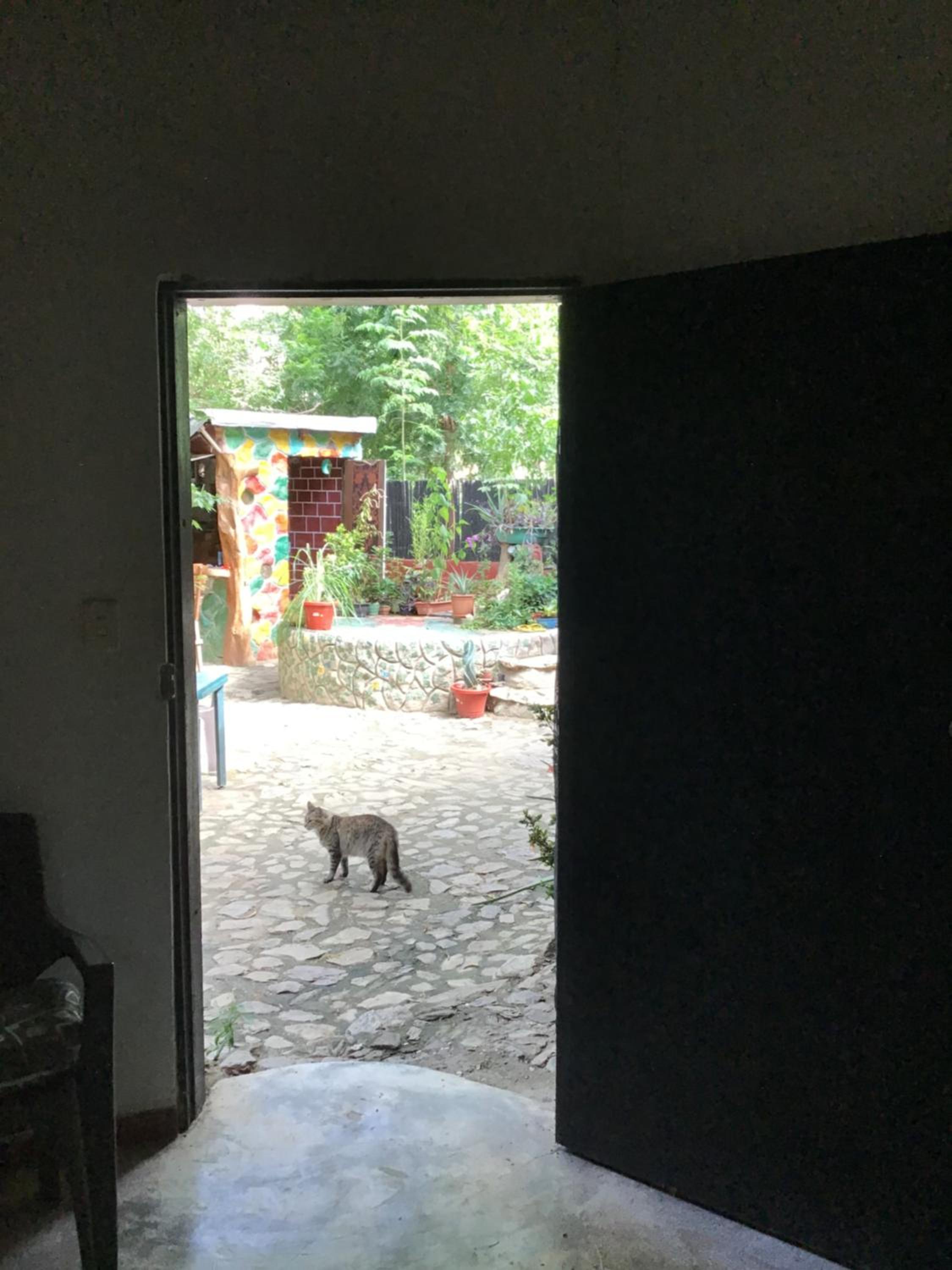 Casa Bella