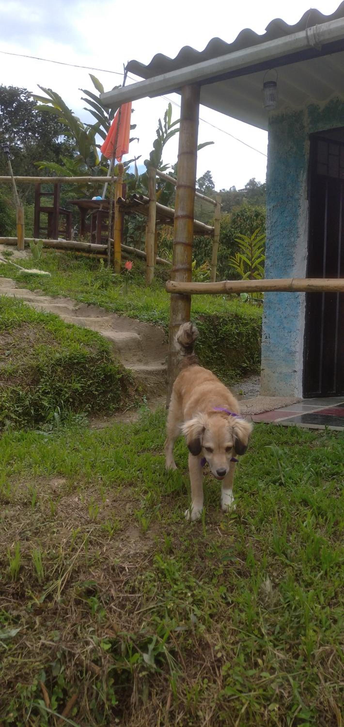 Cabaña en el Campo