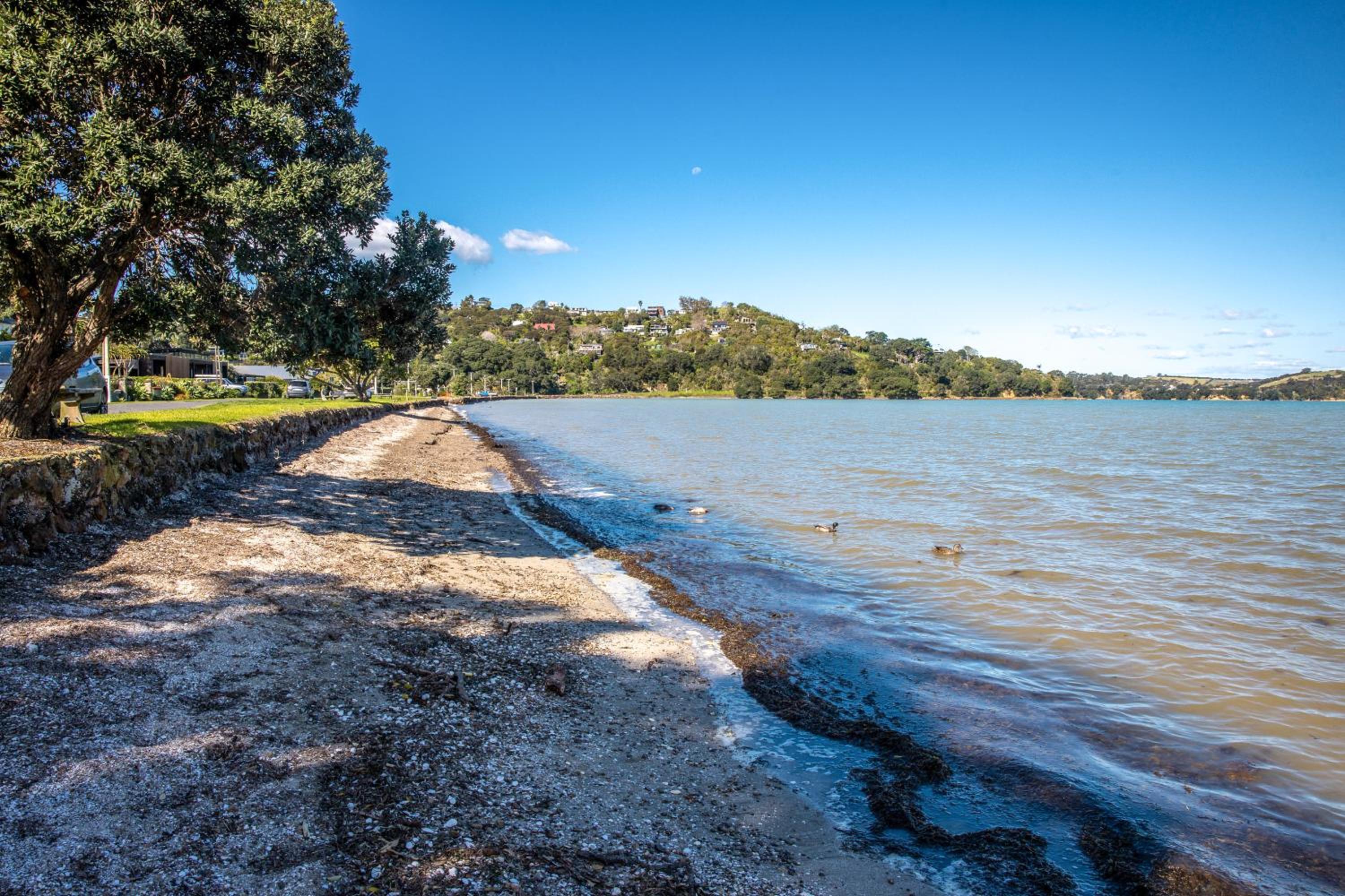 Seaside on Waiheke - Stay Waiheke