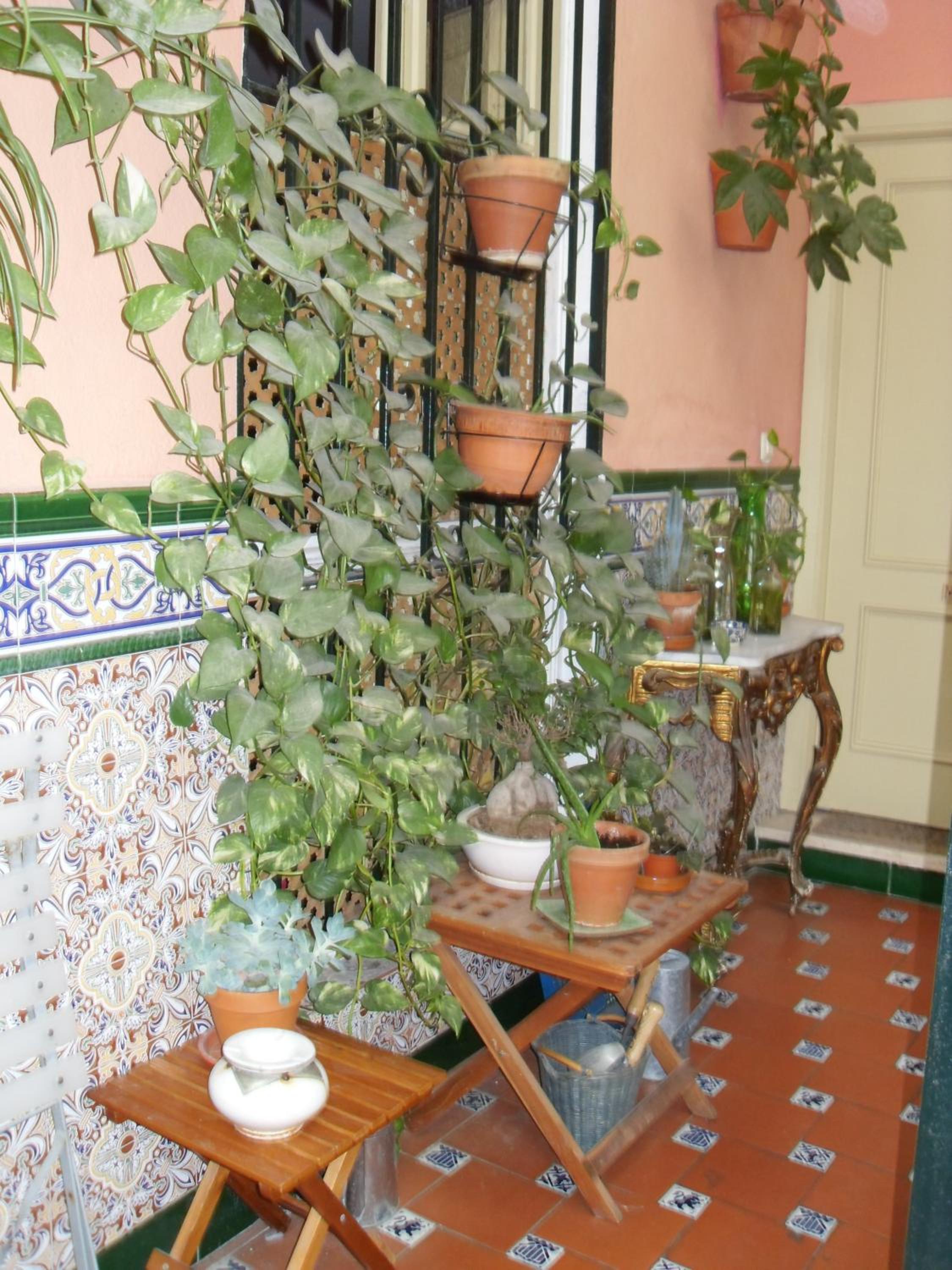 El Riad Andaluz