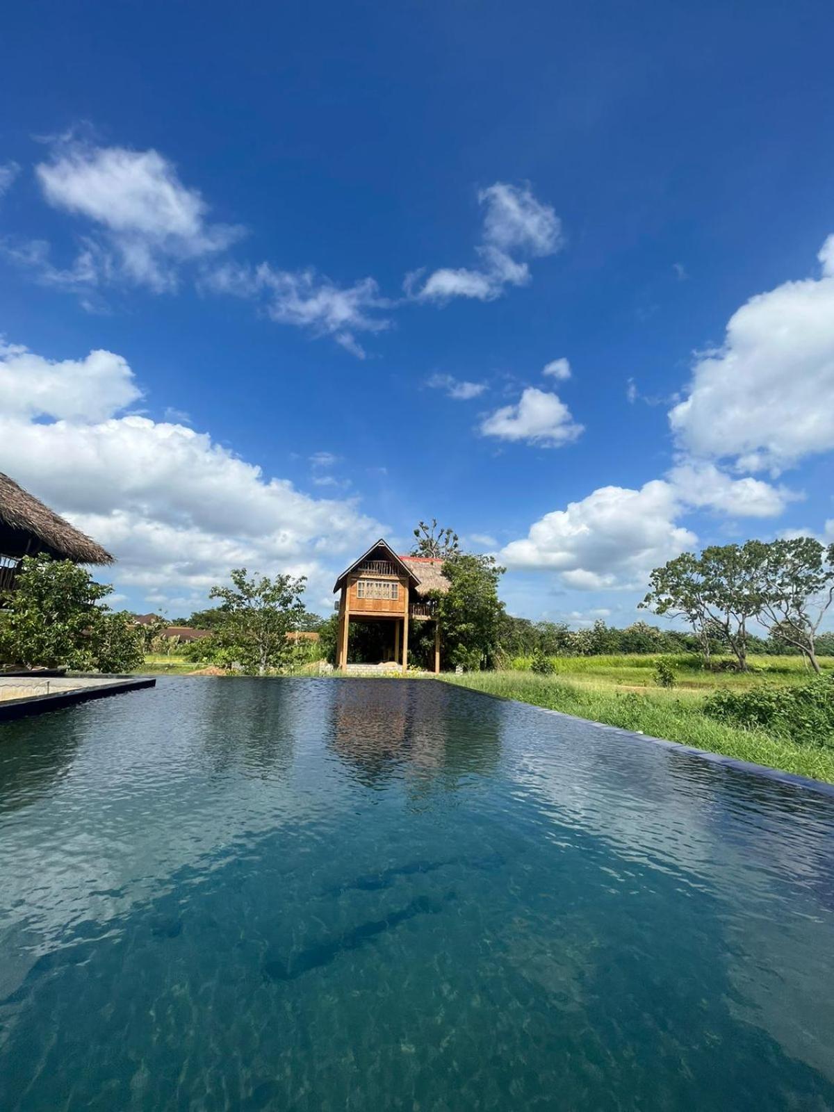 Rock Shade Chalet- Sigiriya view 3