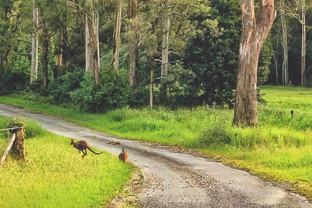 Cooranbong Farm Stay-7 Bedrooms Cottage with Pool and Tennis Court