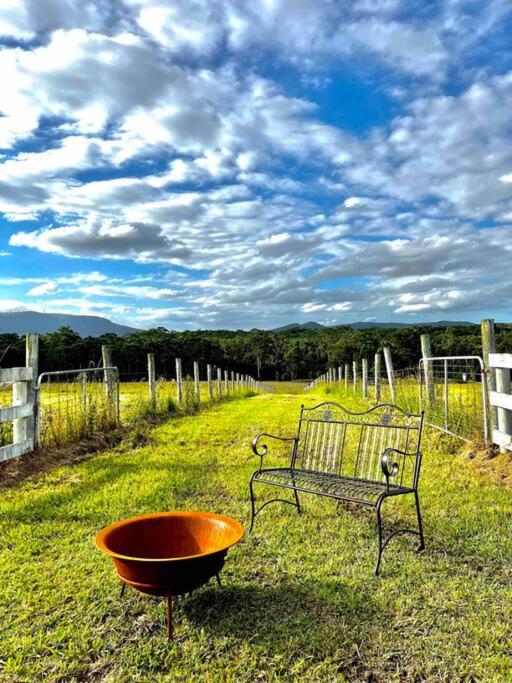 Cooranbong Farm Stay-7 Bedrooms Cottage with Pool and Tennis Court