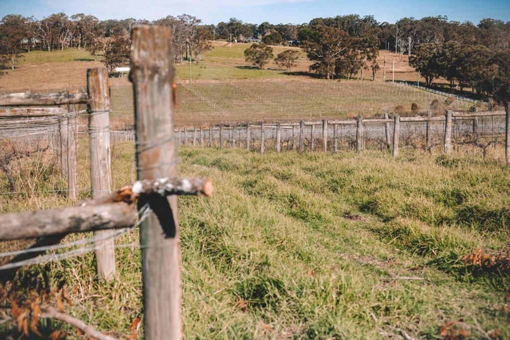 Cooranbong Farm Stay-7 Bedrooms Cottage with Pool and Tennis Court