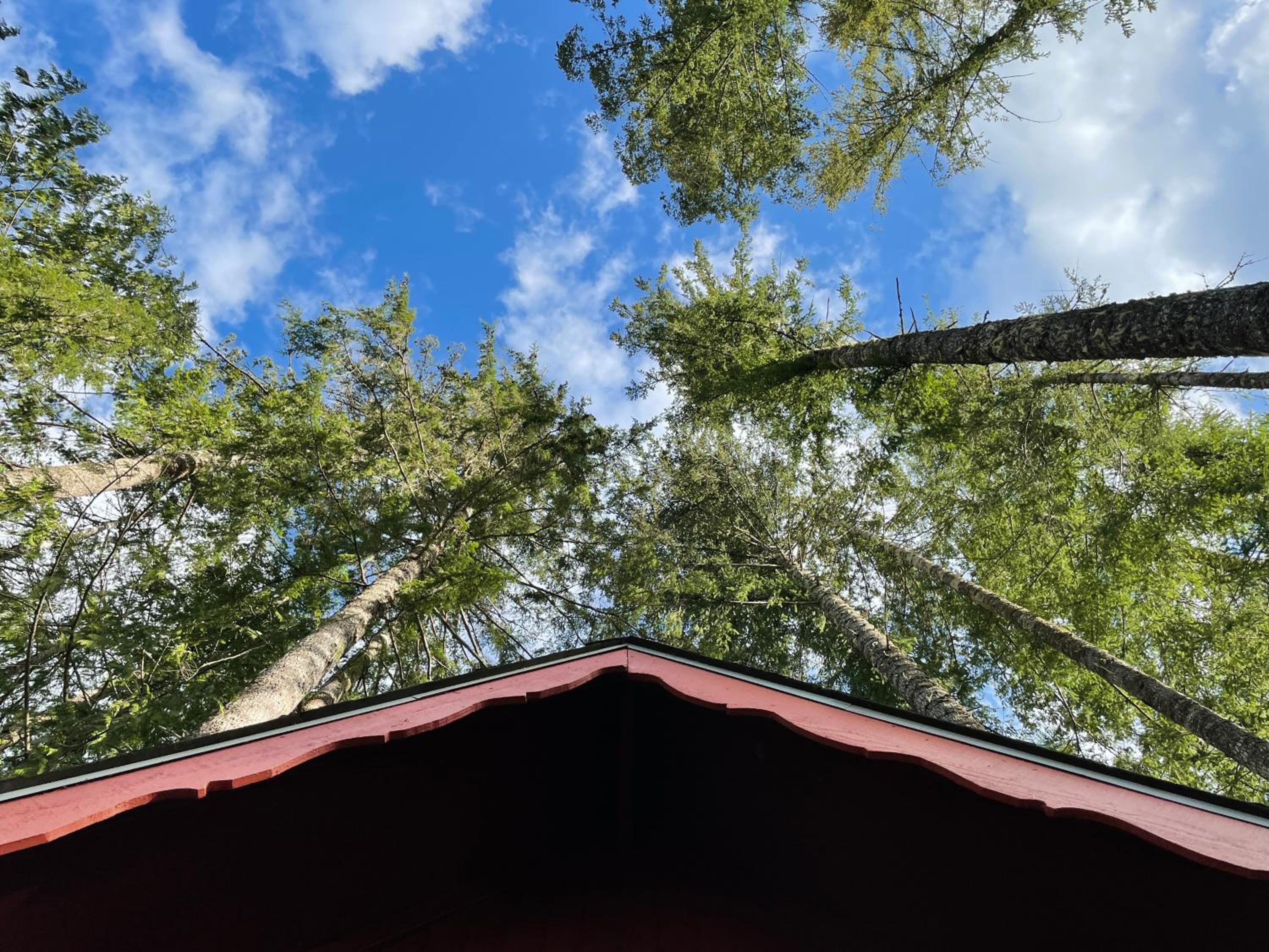 Mt Rainier Little Red Cabin