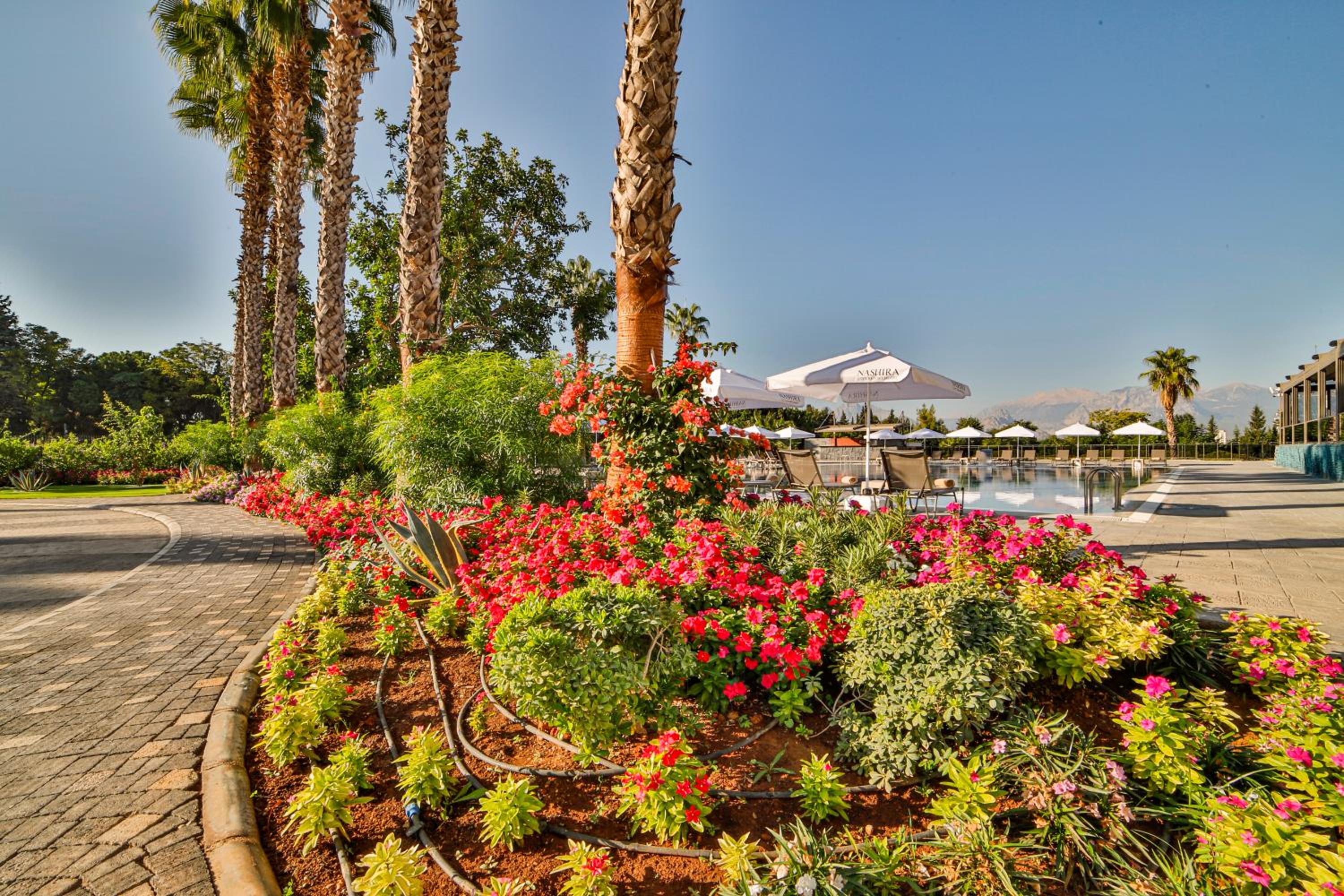 Nashira City Resort Hotel - Image 36