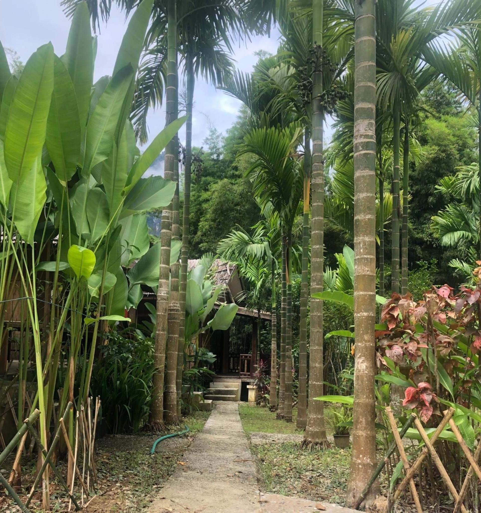 Phoxay Ngam Resort