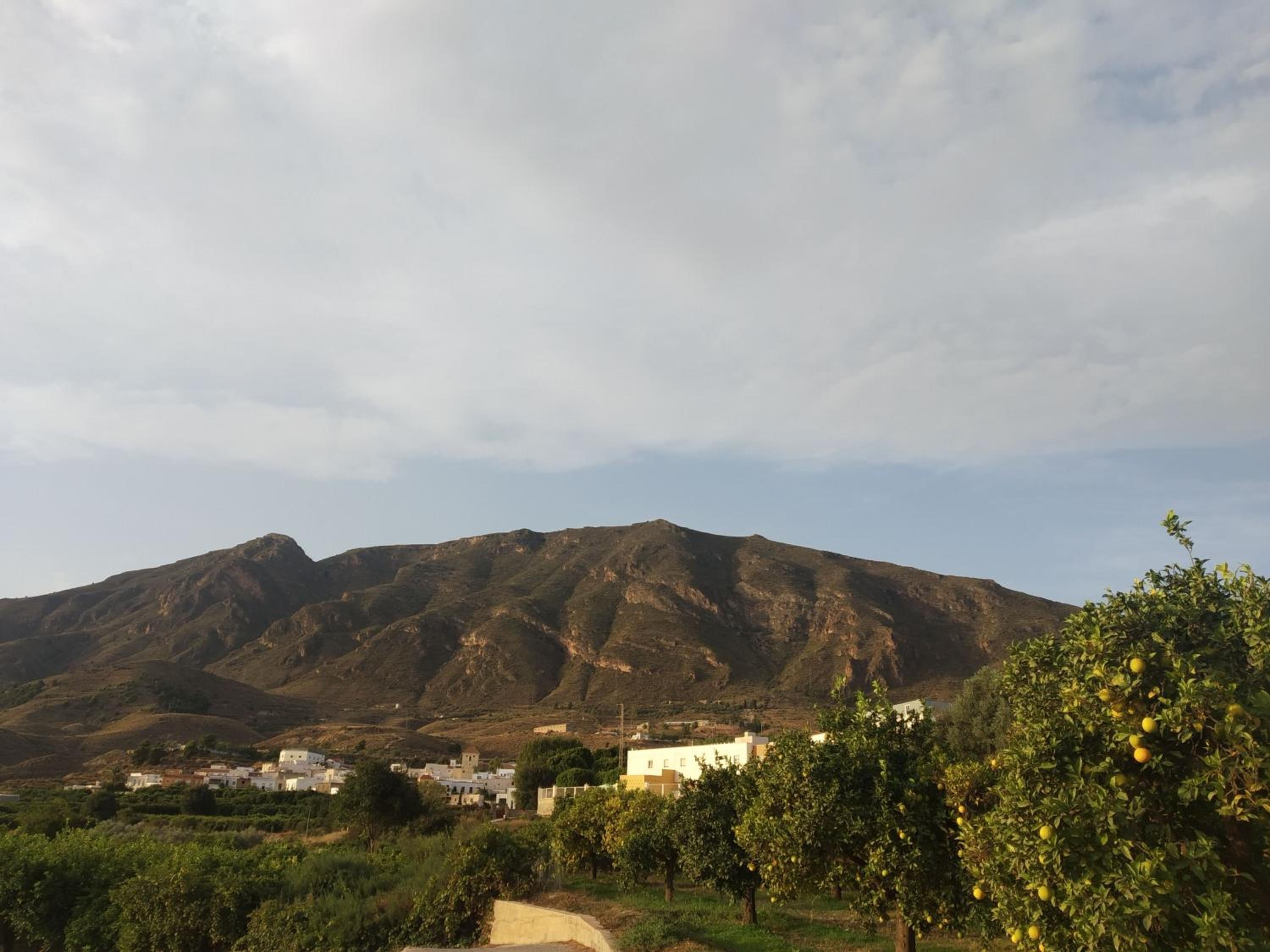 Photo 48