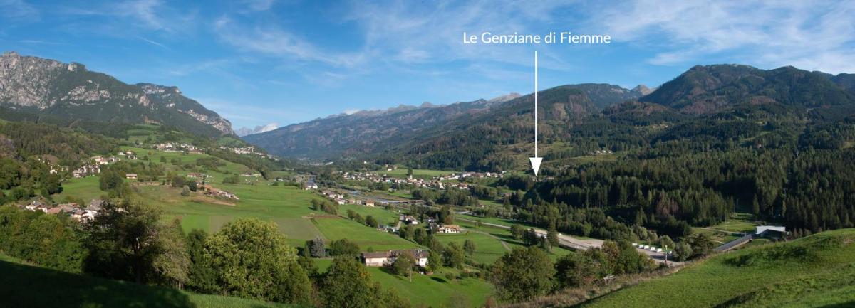Mansarda Le Genziane di Fiemme view 2