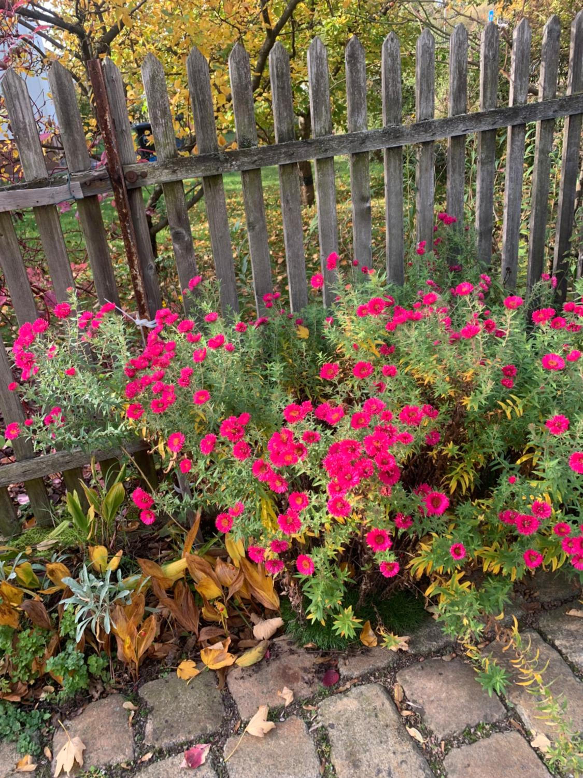 Ferienwohnung Sophie