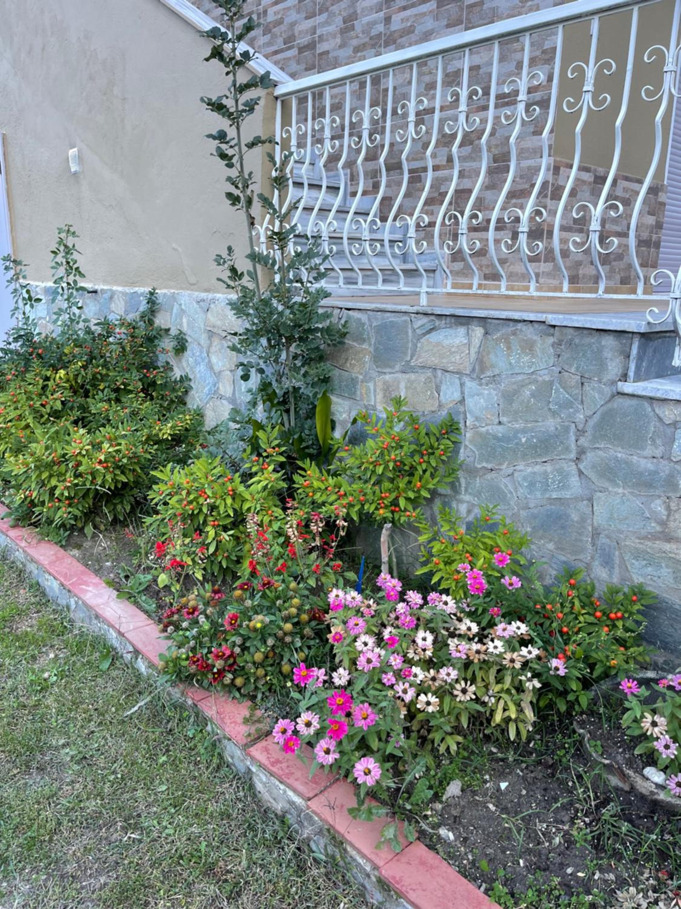 Photo 40