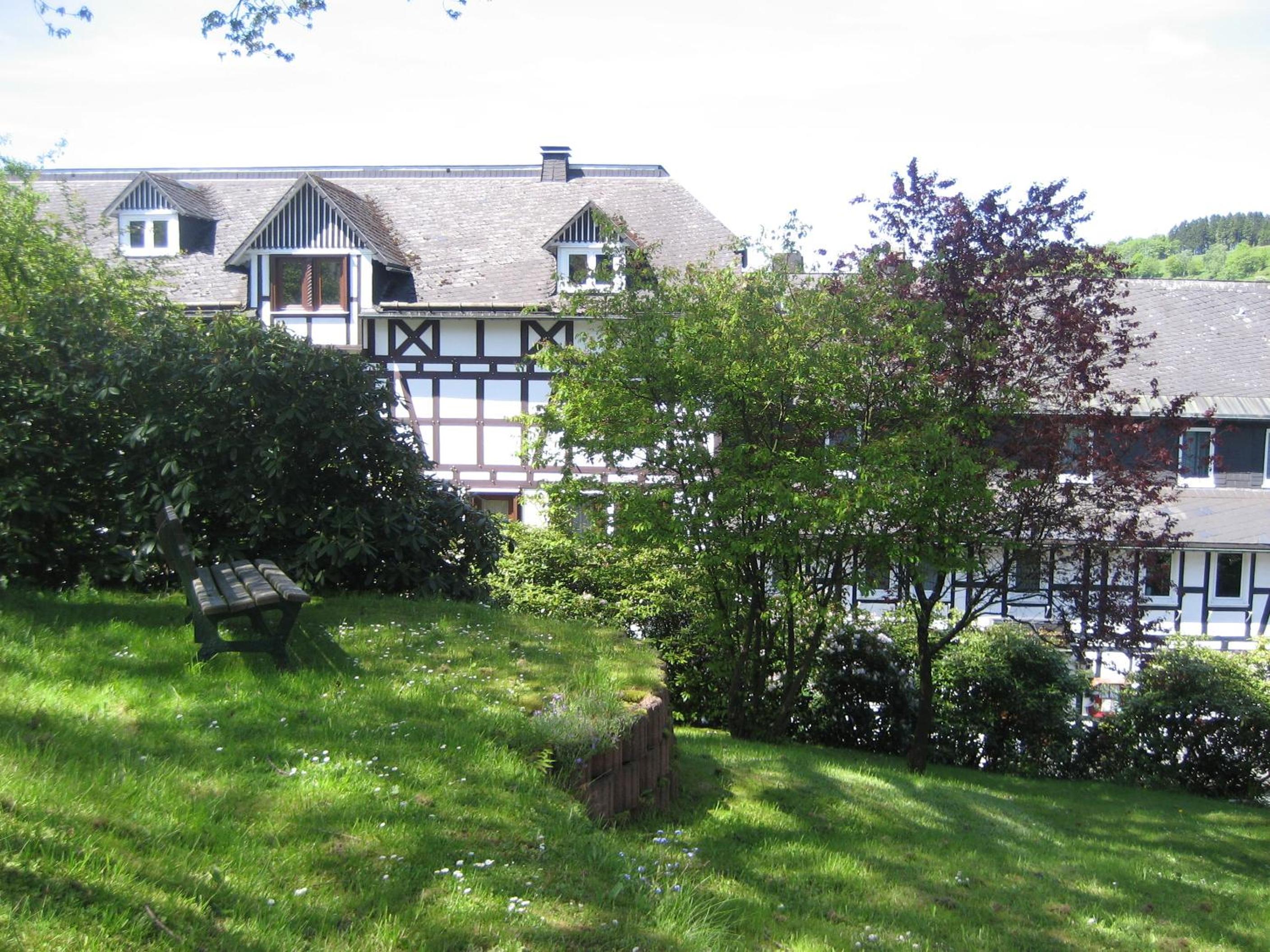 Photo 11
