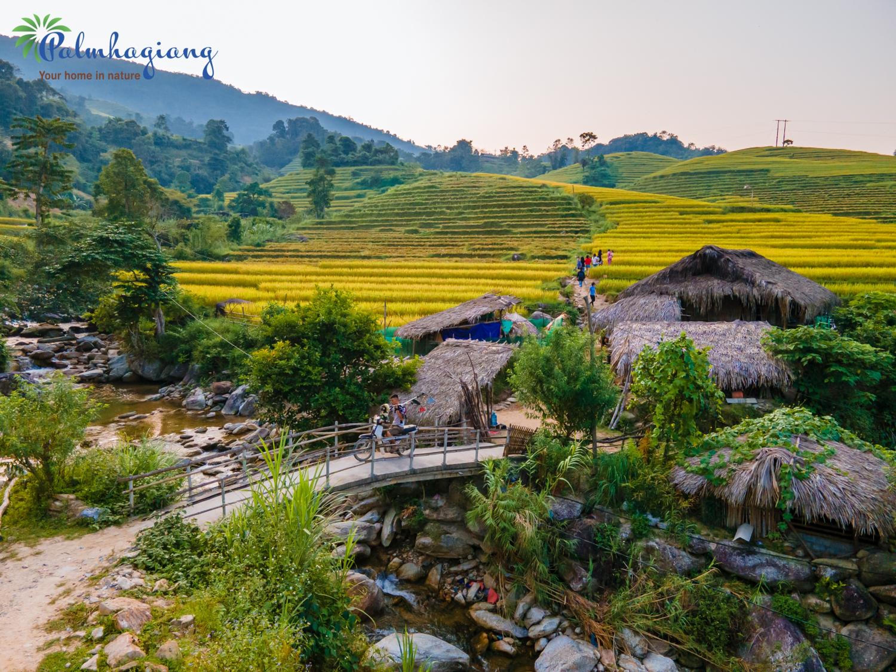 TV Palm Ecolodge Ha Giang