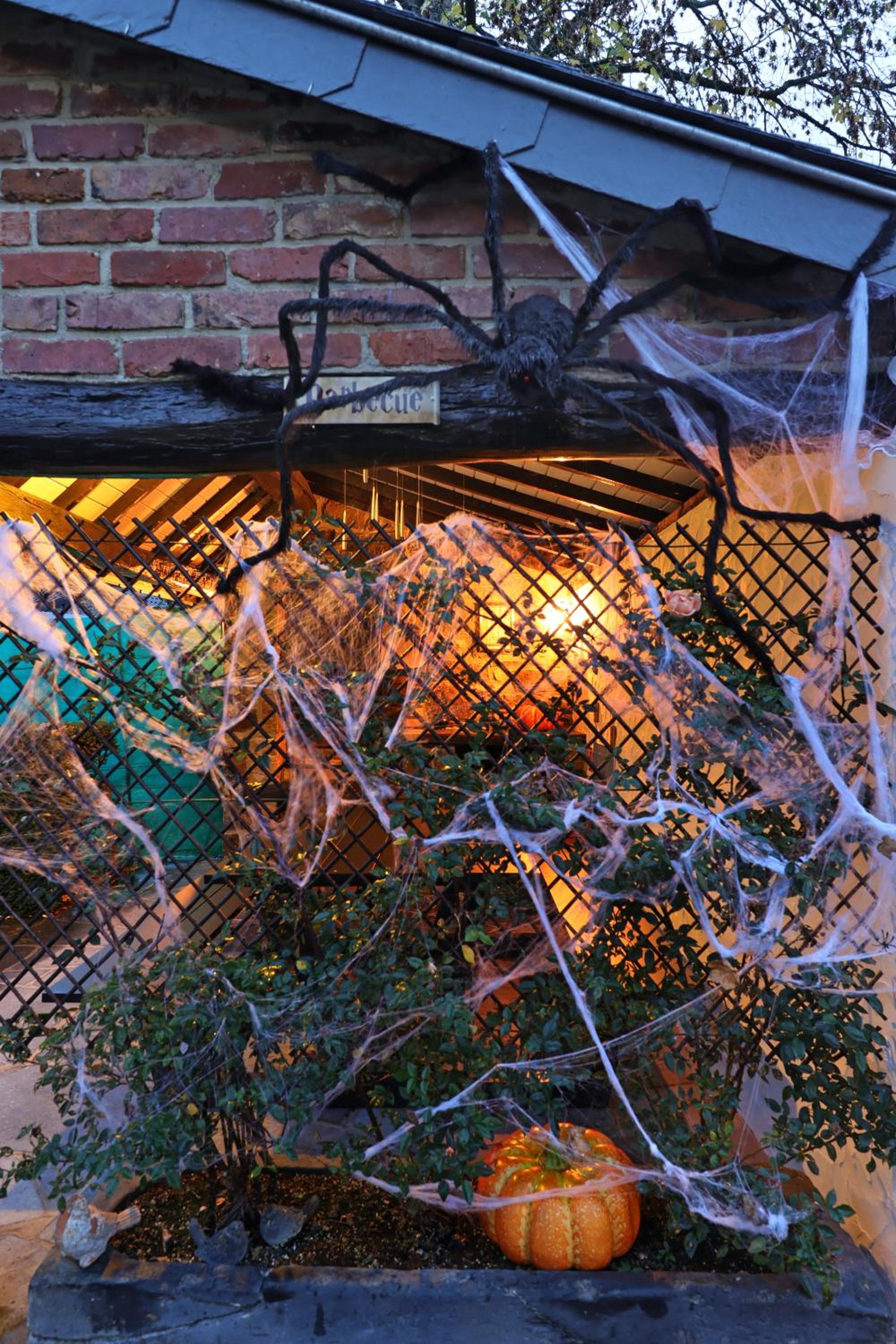 Potter's Place by Ardenne Places