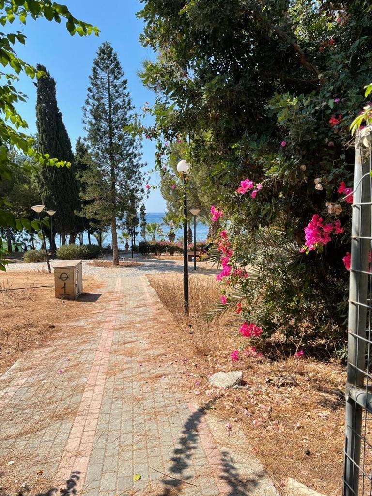 Limassol Vacations - Samson Sea Breeze, 3bed sleeps 6, free WiFi - Property Image 37