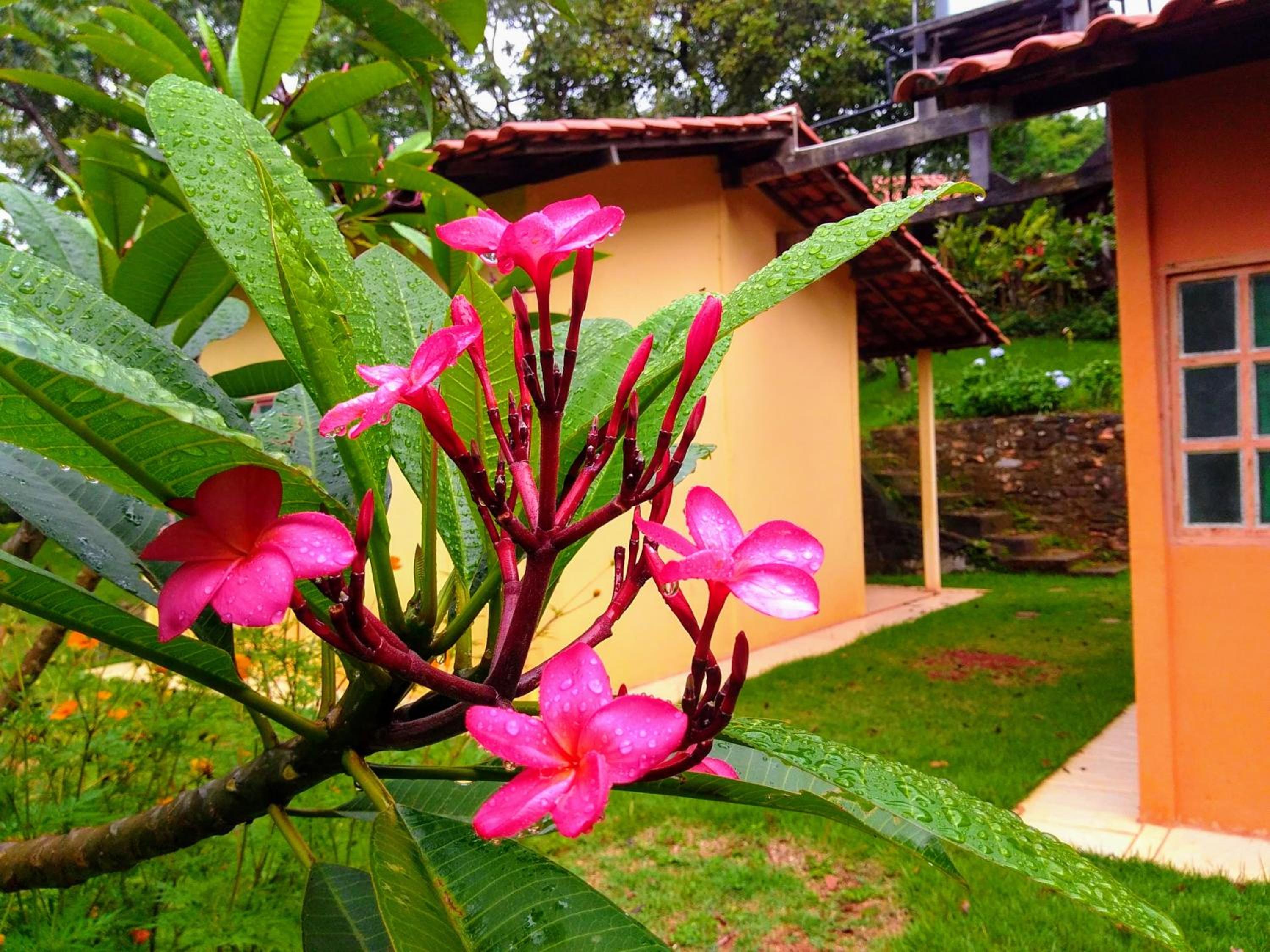Govinda Moeda Pousada