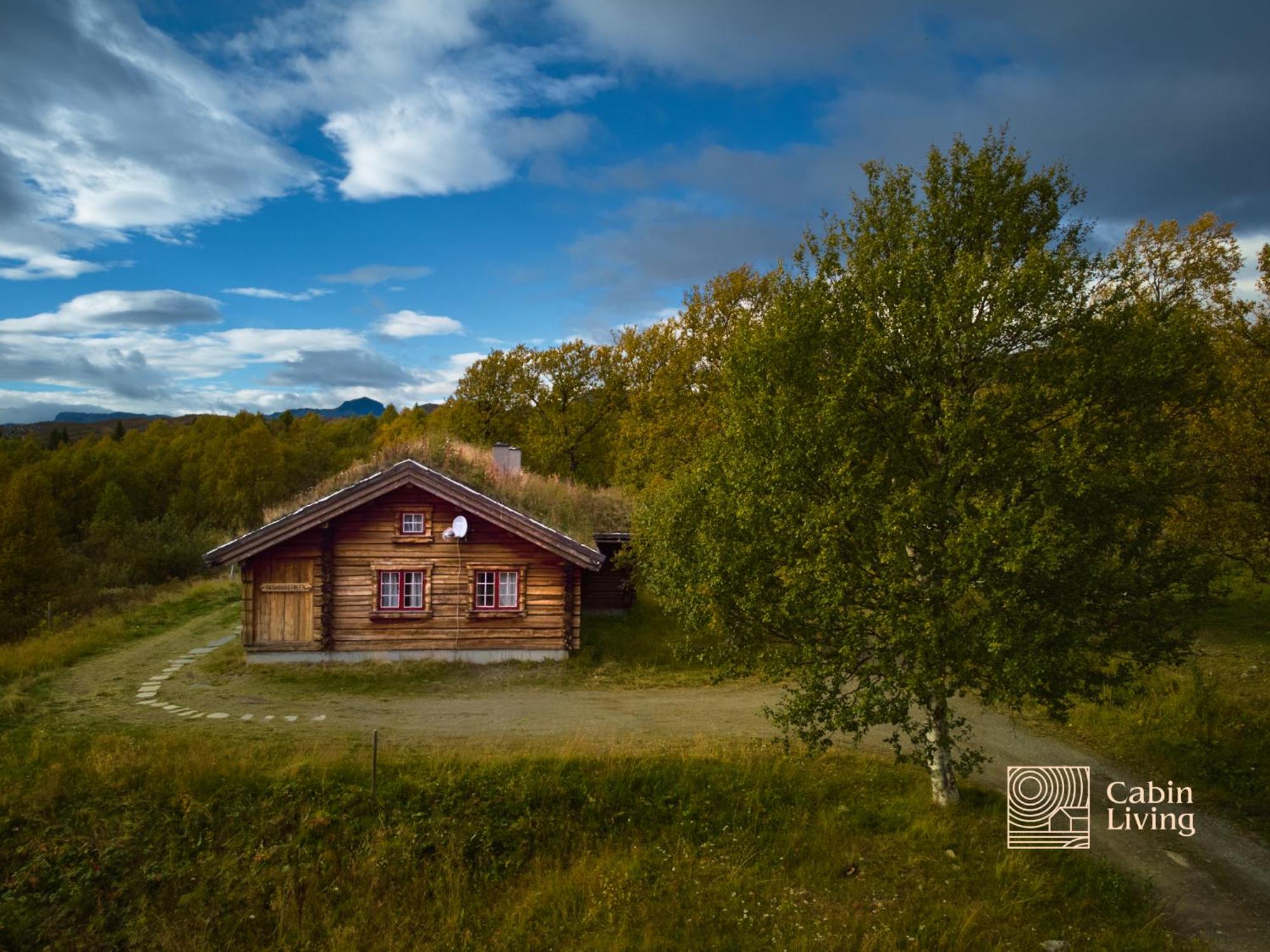Solid and cozy cottage in a secluded location view 4