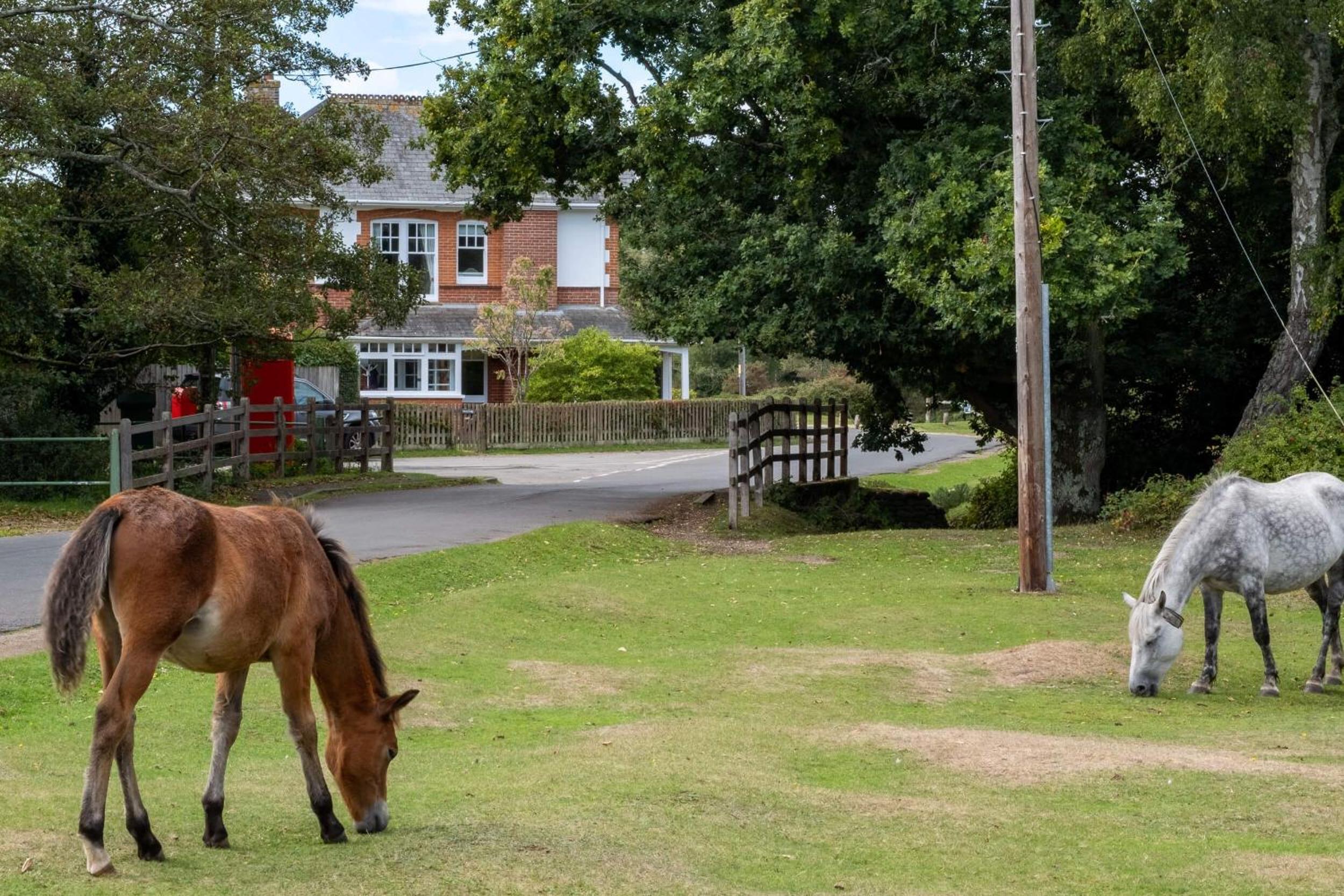 Surrey Lodge