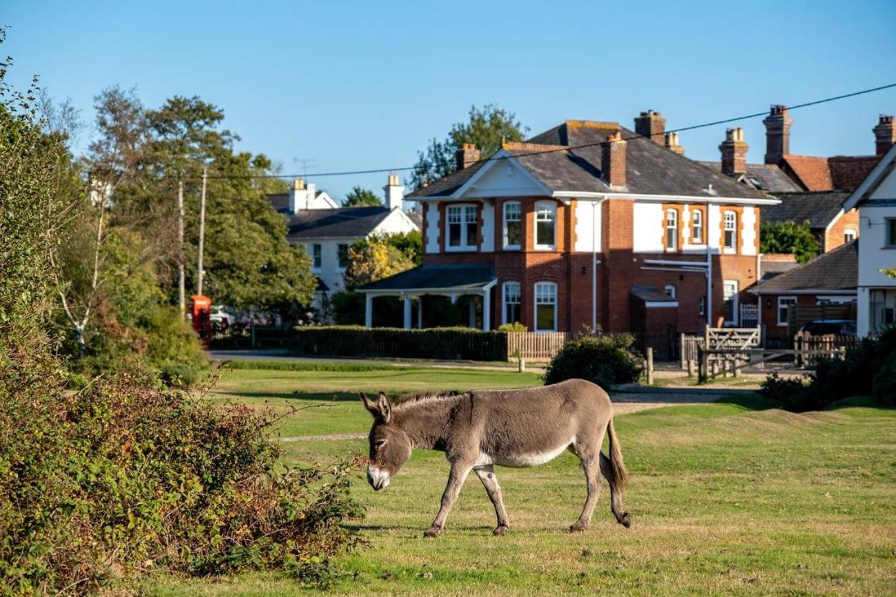 Surrey Lodge