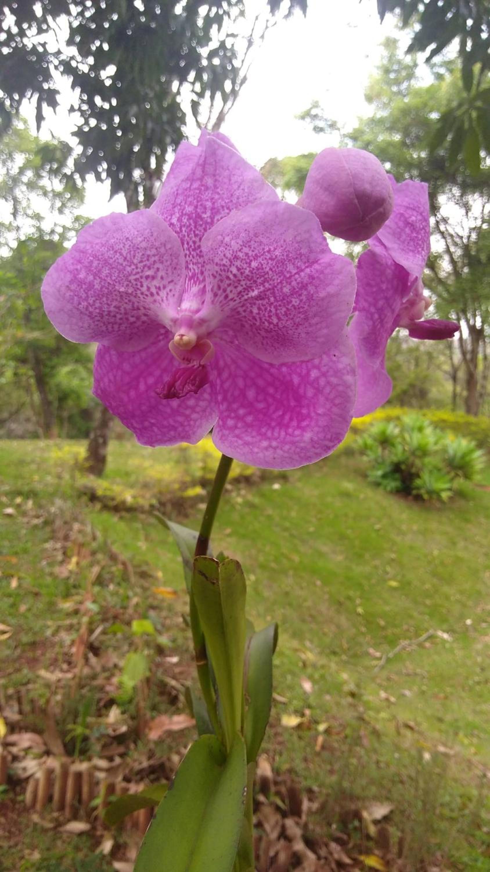 Govinda Moeda Pousada